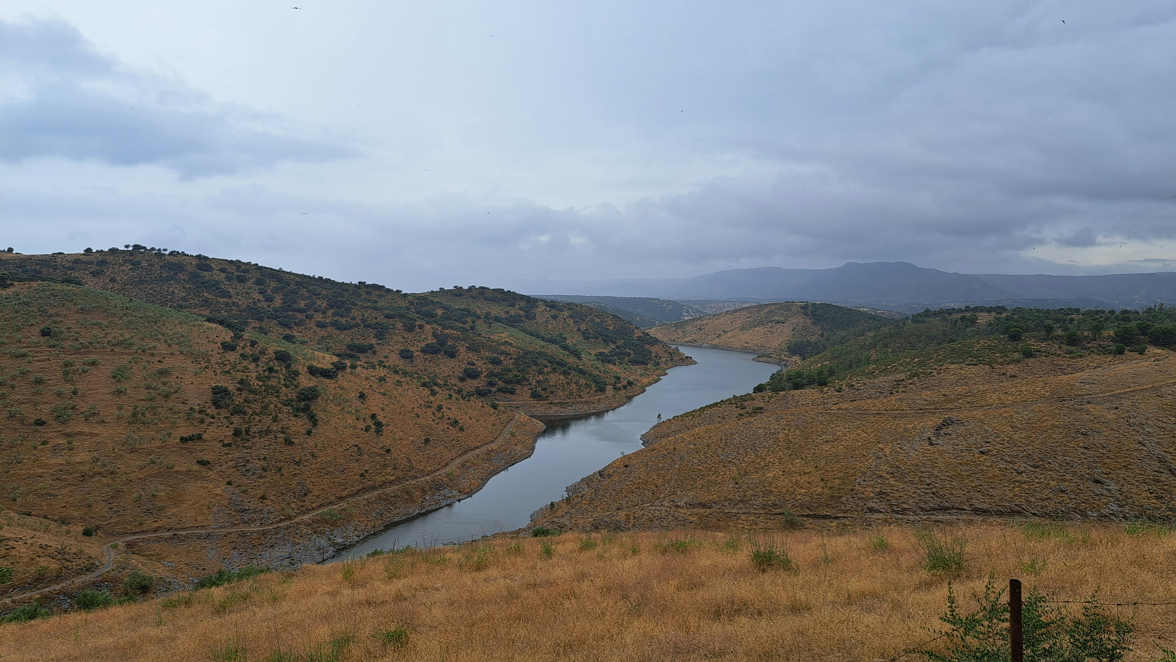 Photo by guardiola86