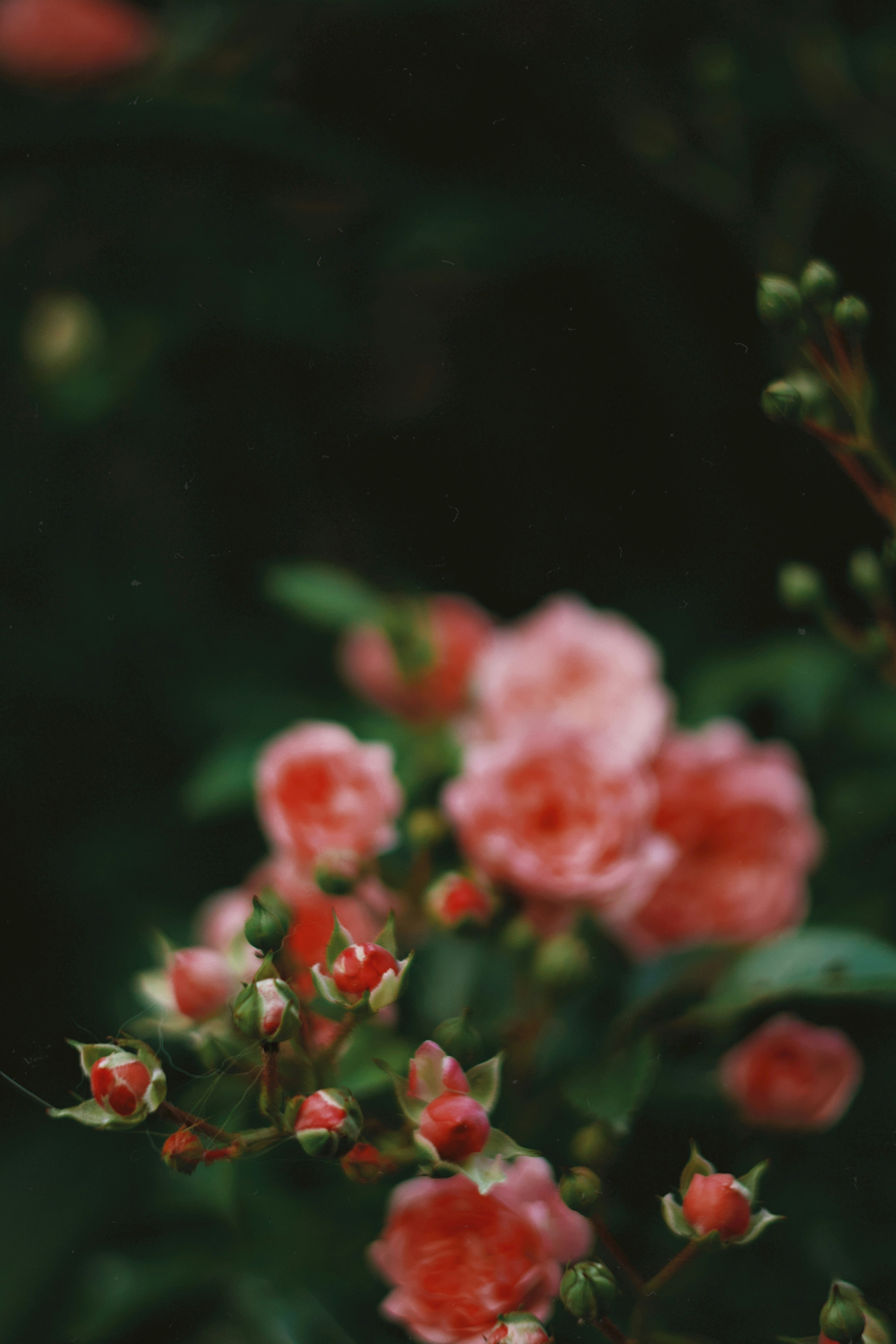 Photo by nottwentyseven