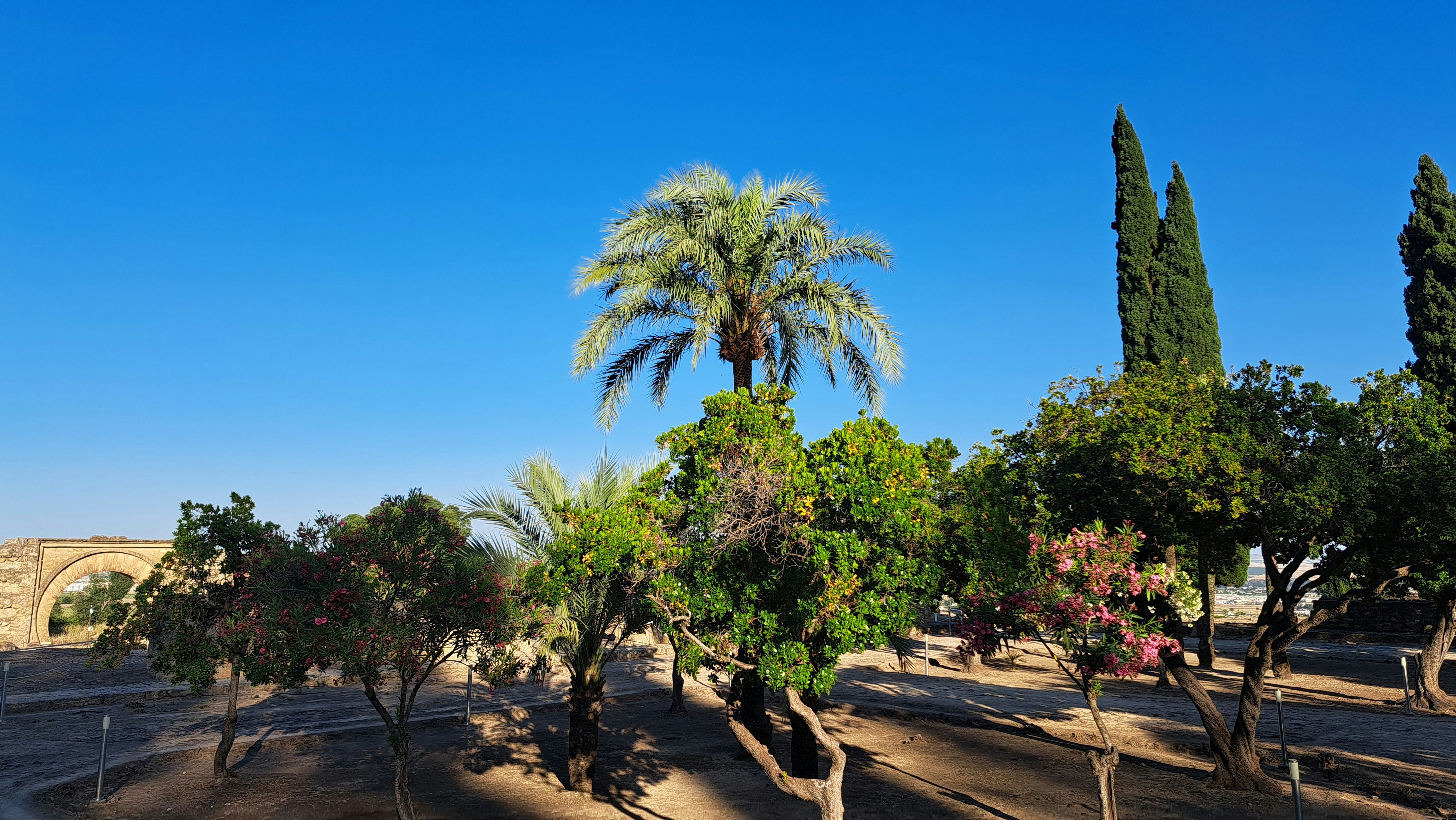 Photo by guardiola86