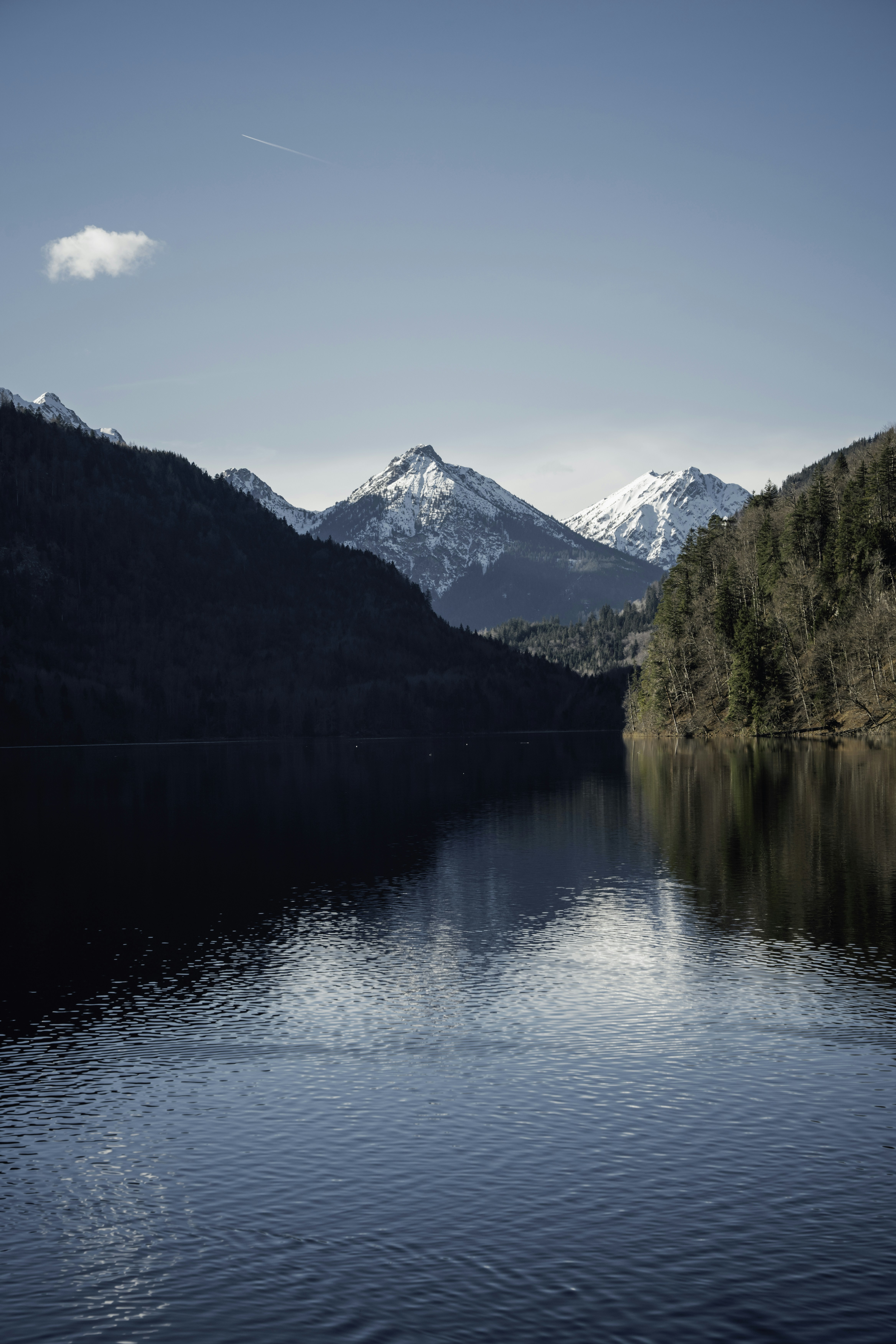 Photo by winstontjia