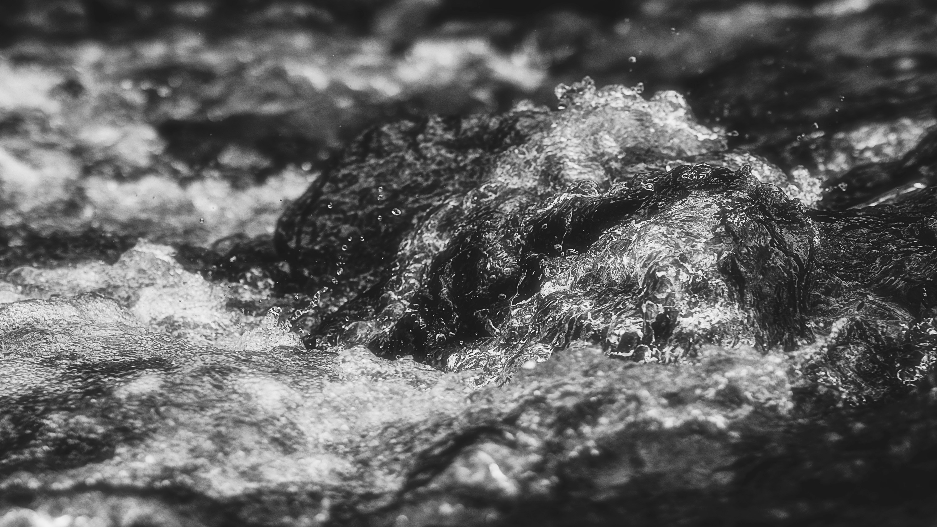 Photo by alingavriliuc