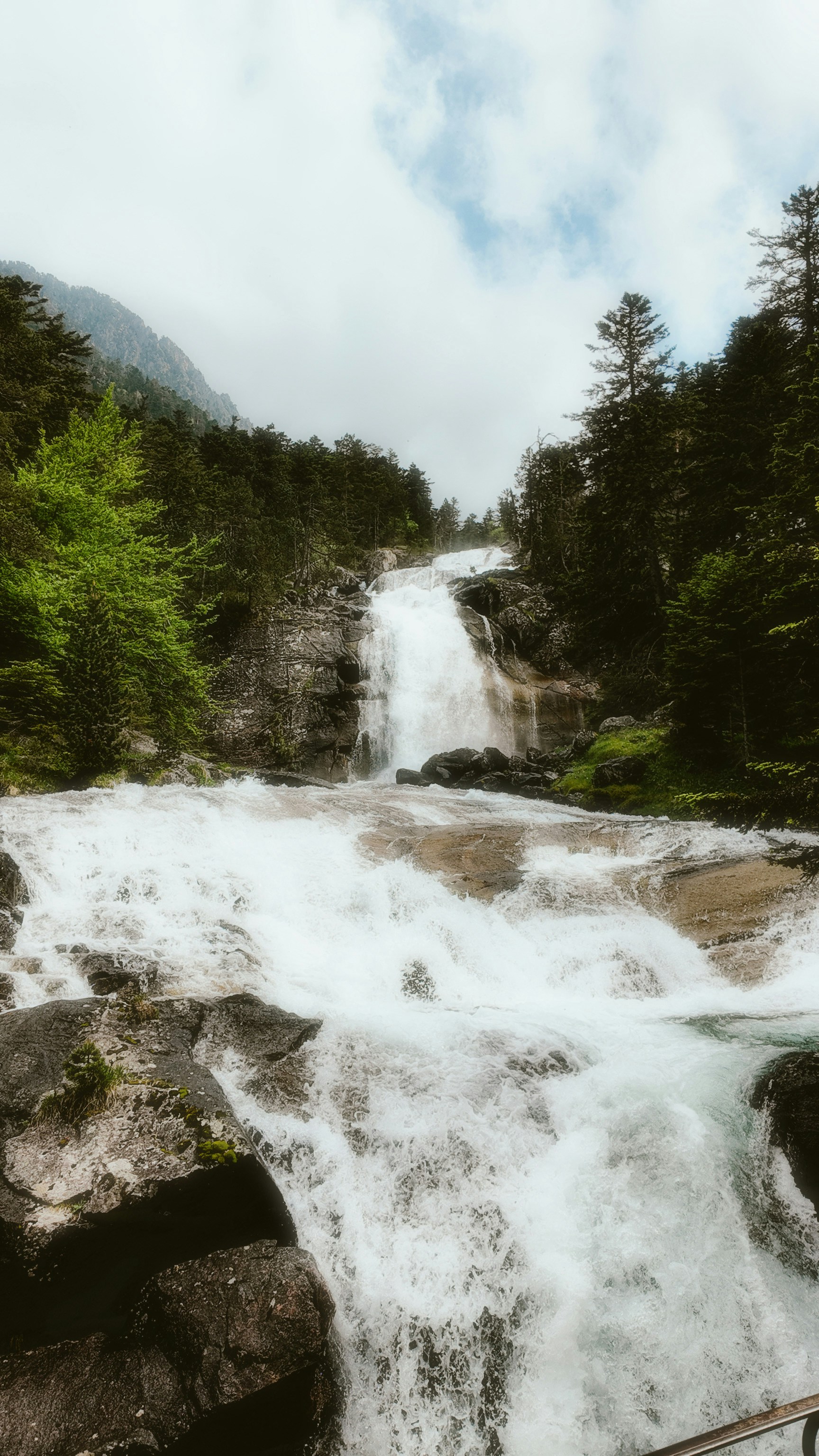 Photo by alingavriliuc