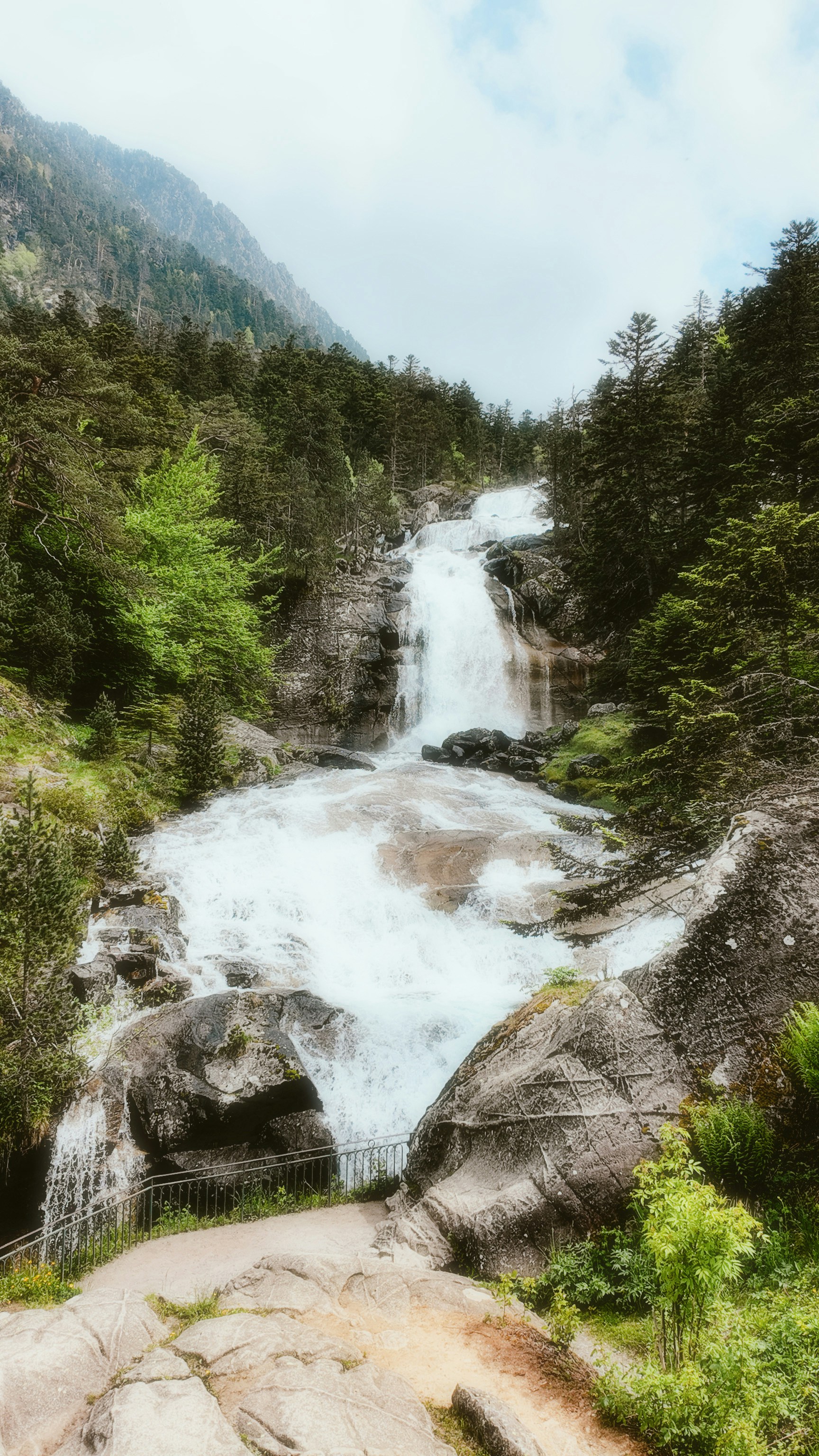 Photo by alingavriliuc