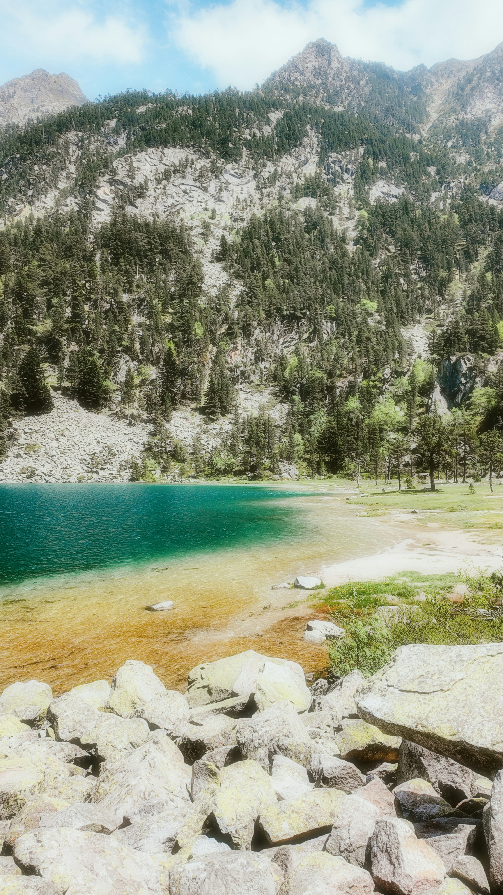 Photo by alingavriliuc