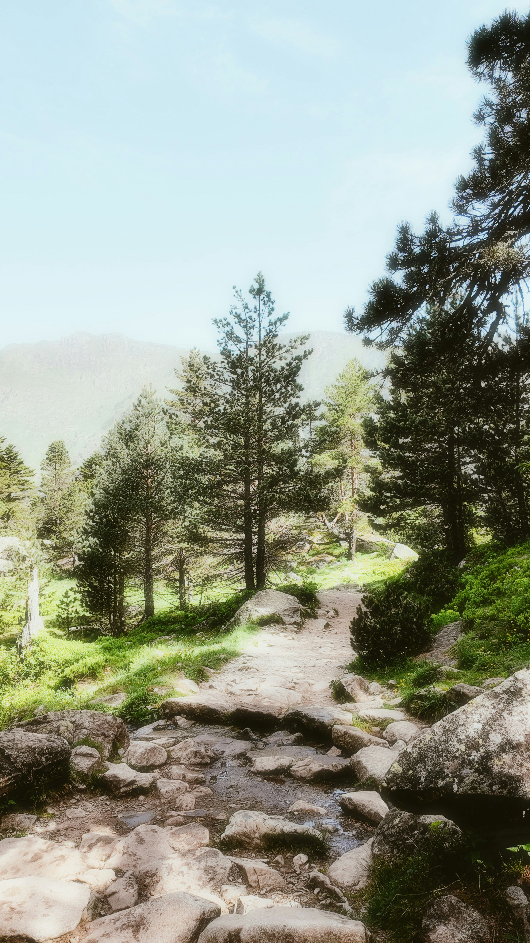 Photo by alingavriliuc