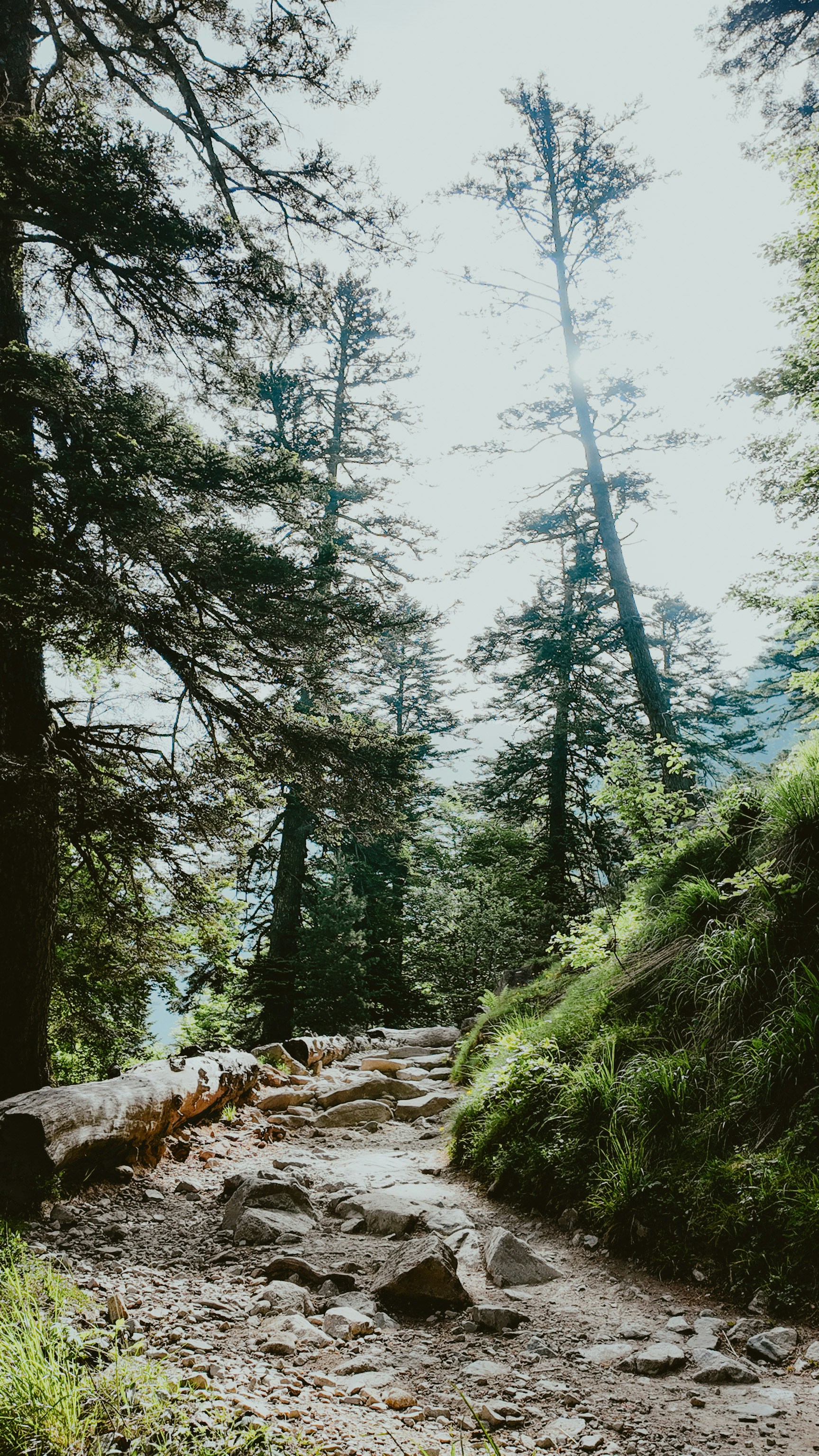 Photo by alingavriliuc