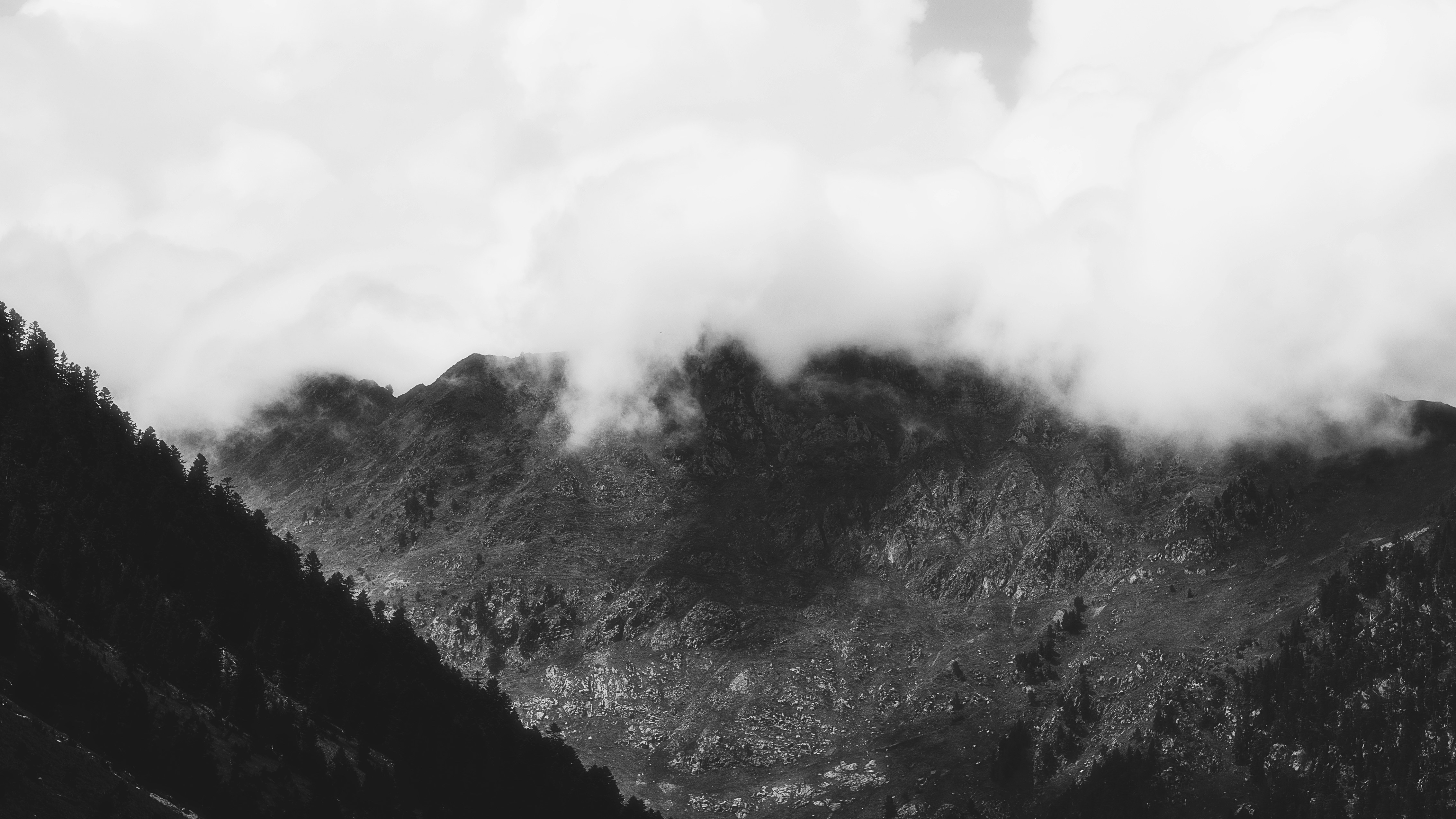 Photo by alingavriliuc