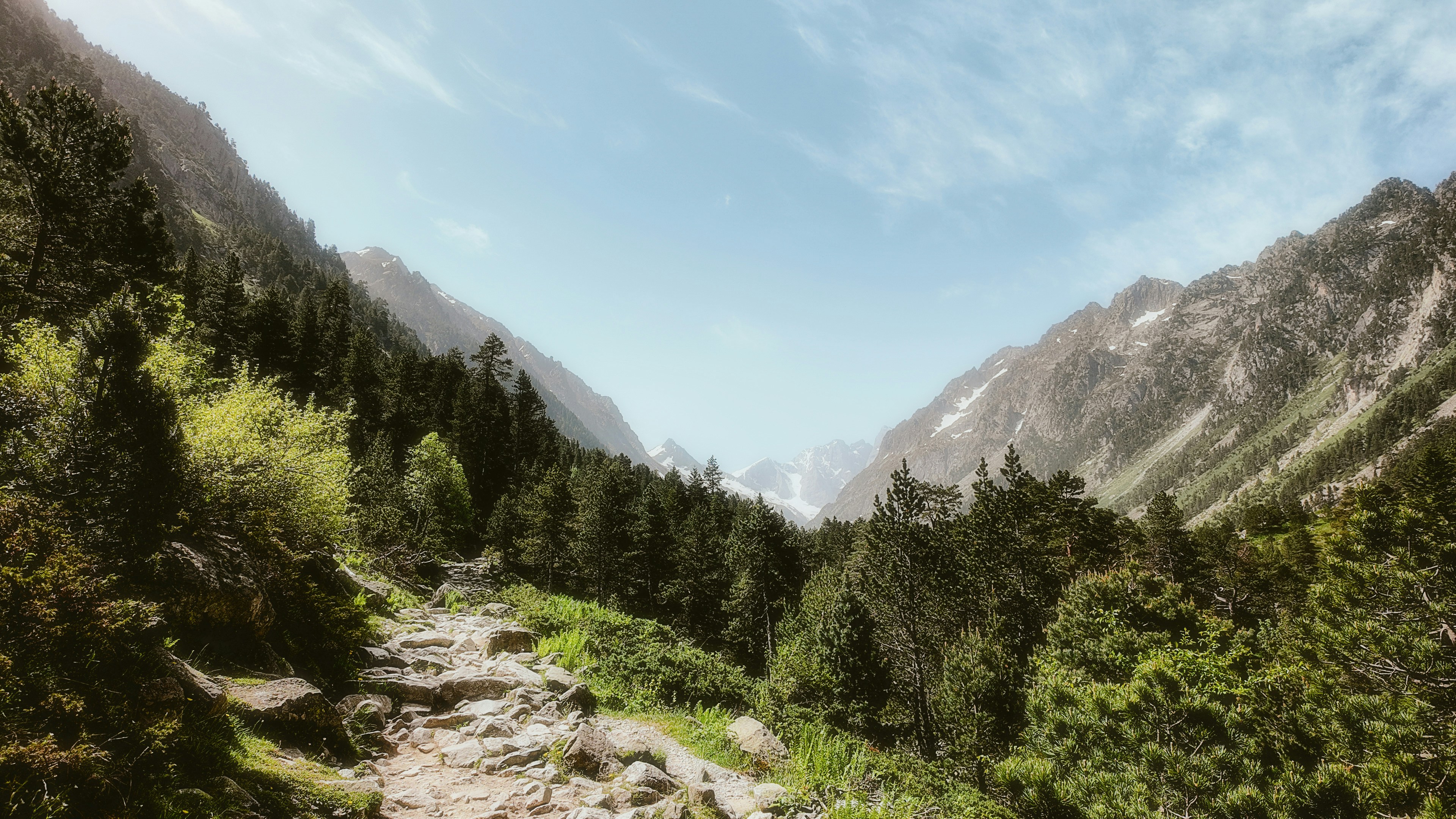 Photo by alingavriliuc