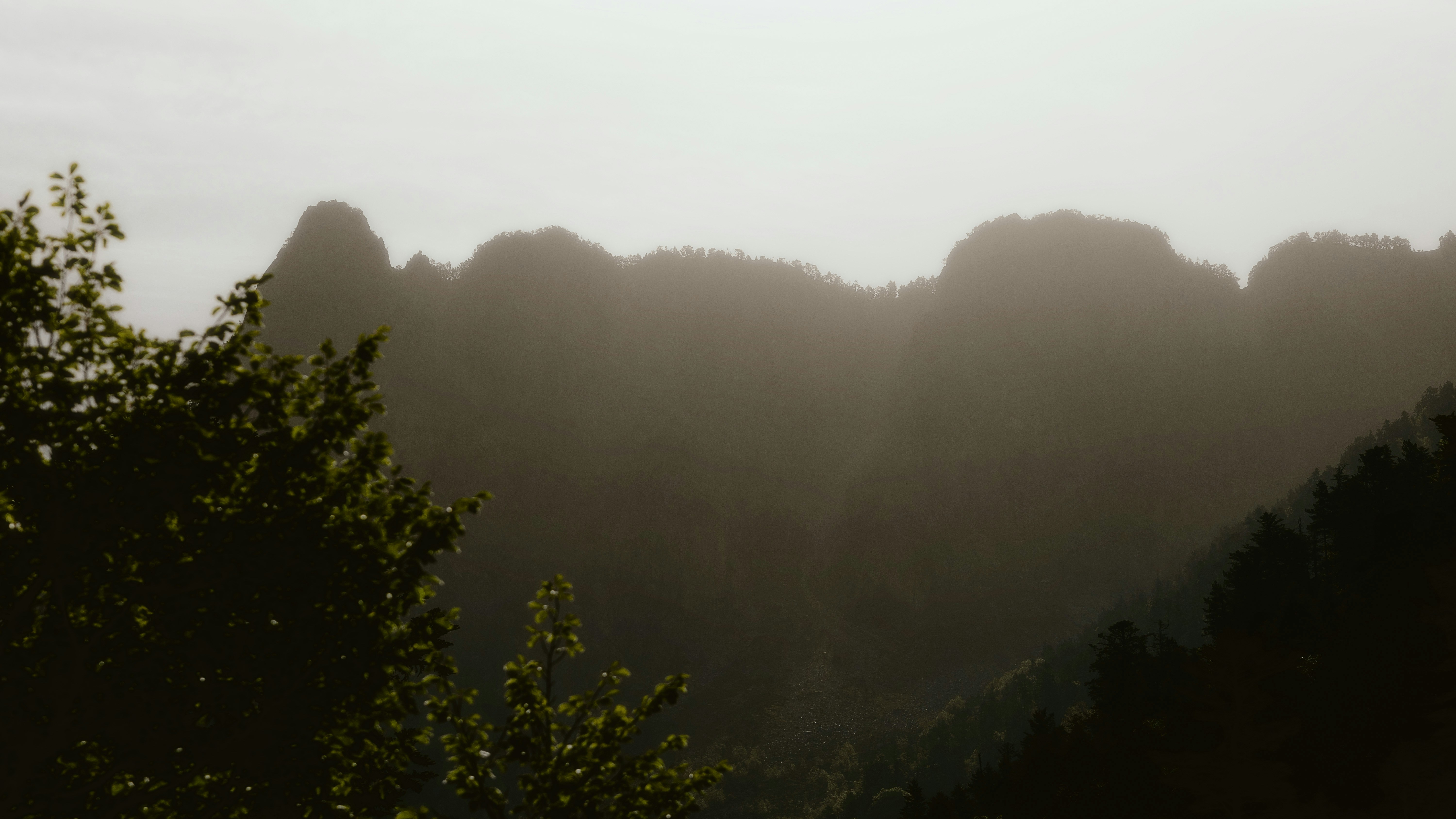 Photo by alingavriliuc