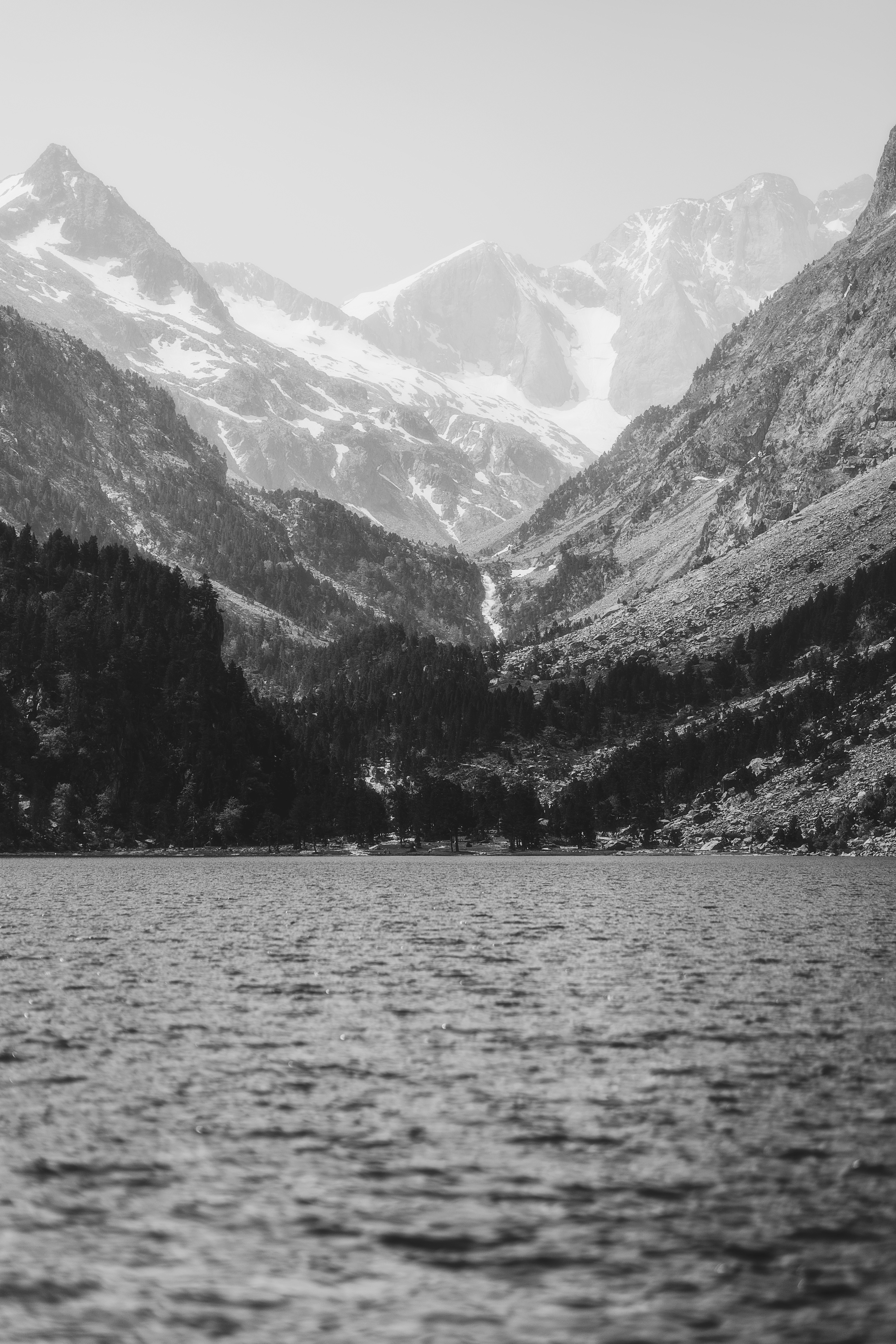 Photo by alingavriliuc