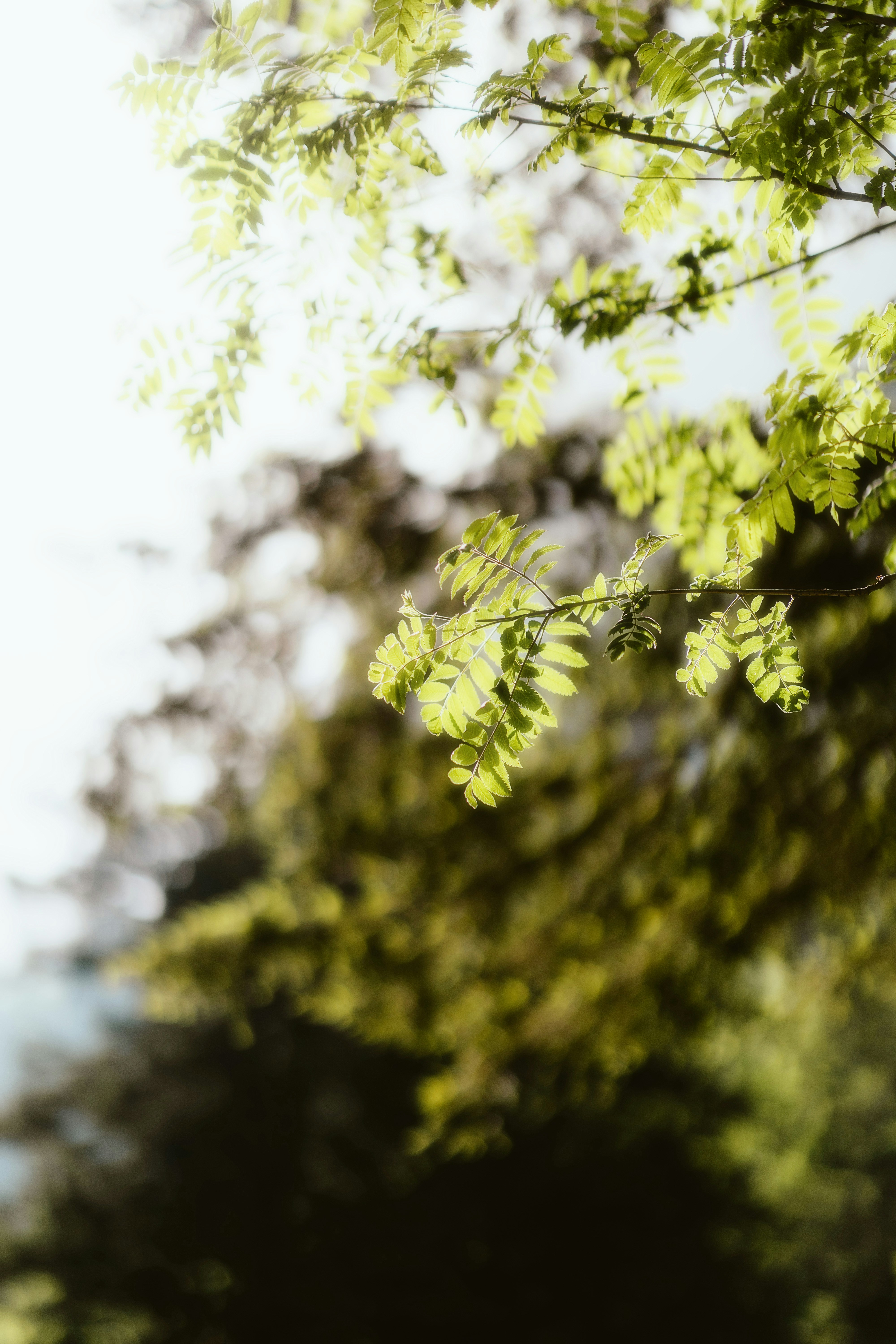 Photo by alingavriliuc