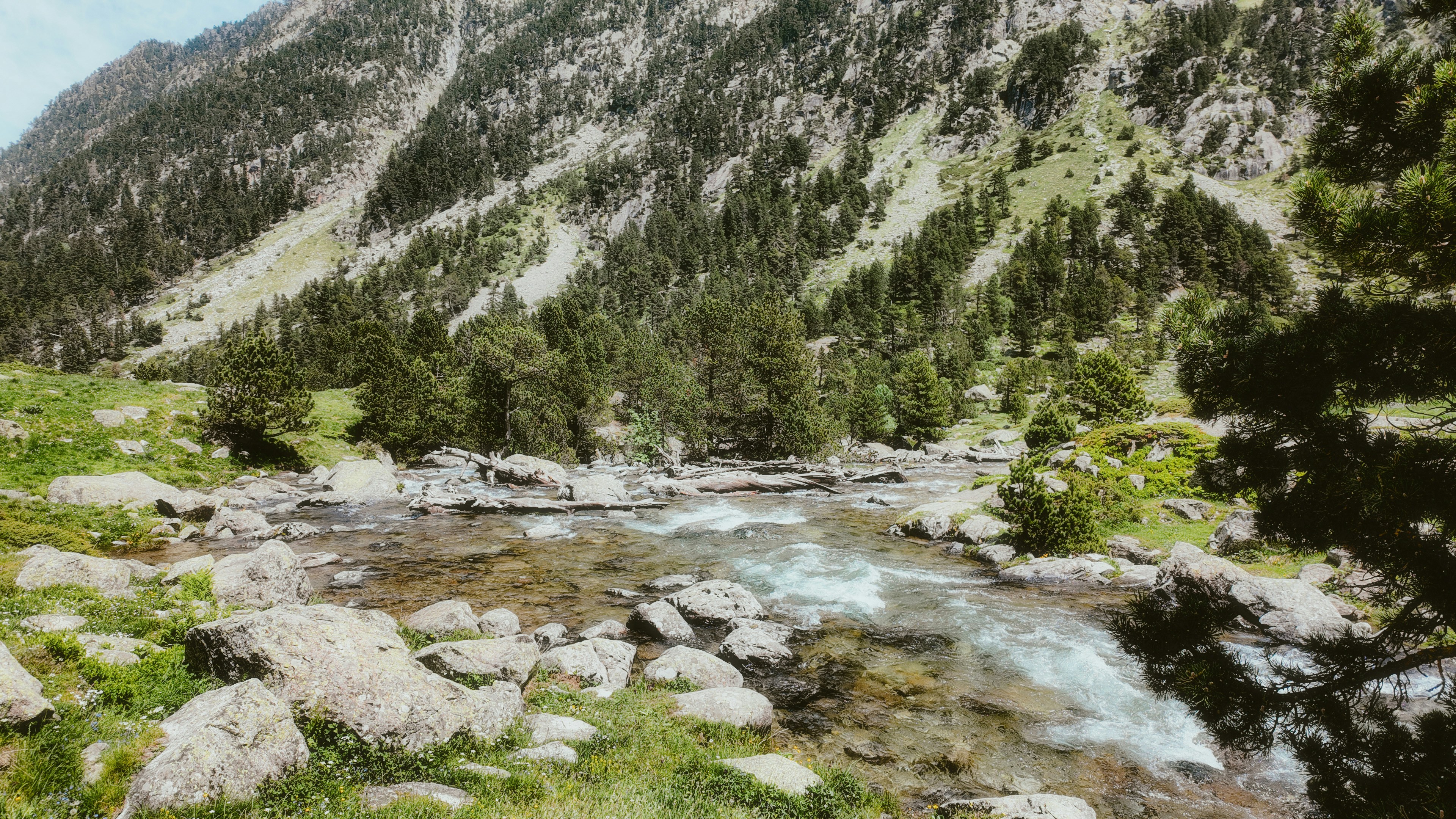 Photo by alingavriliuc