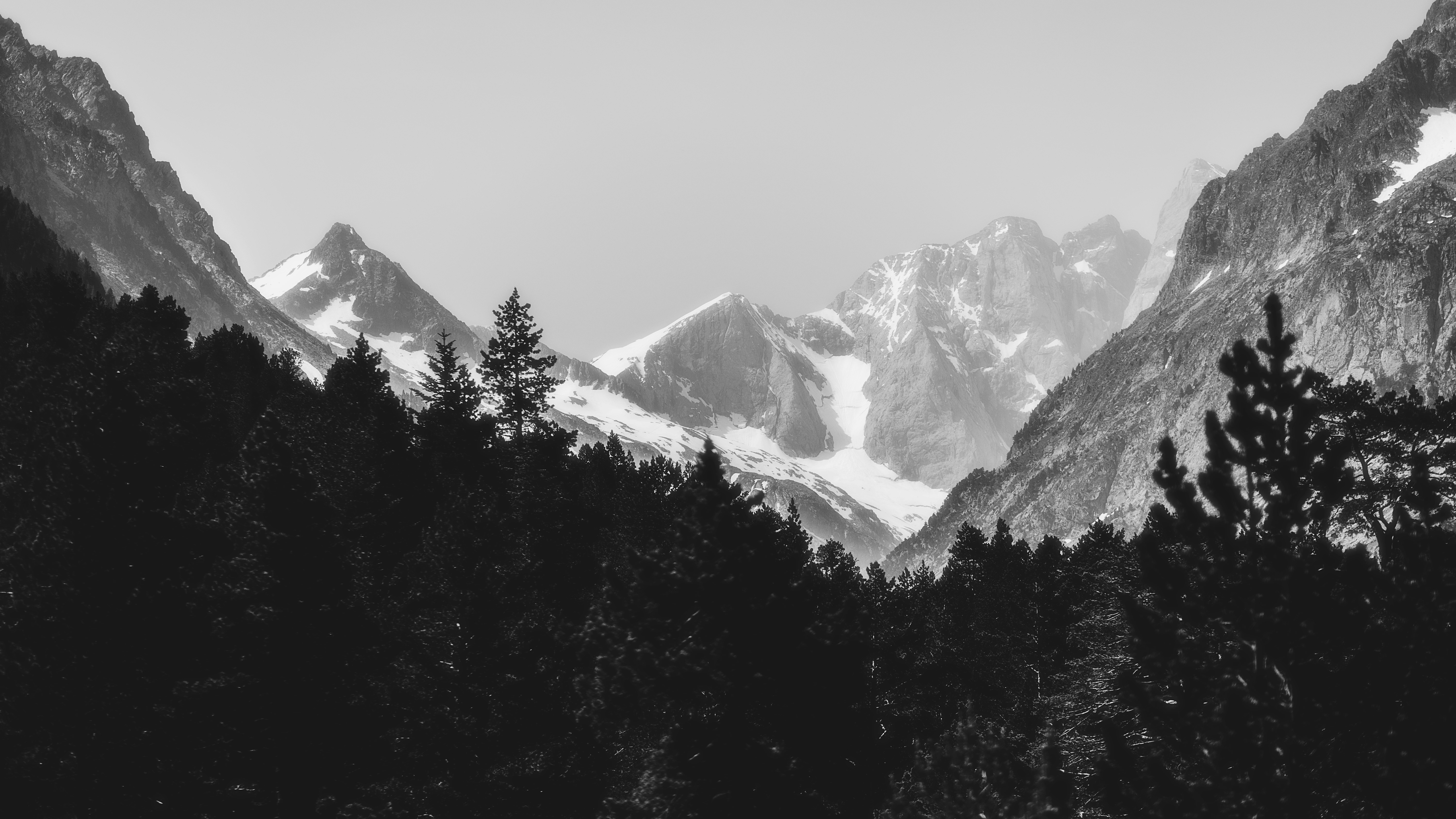 Photo by alingavriliuc