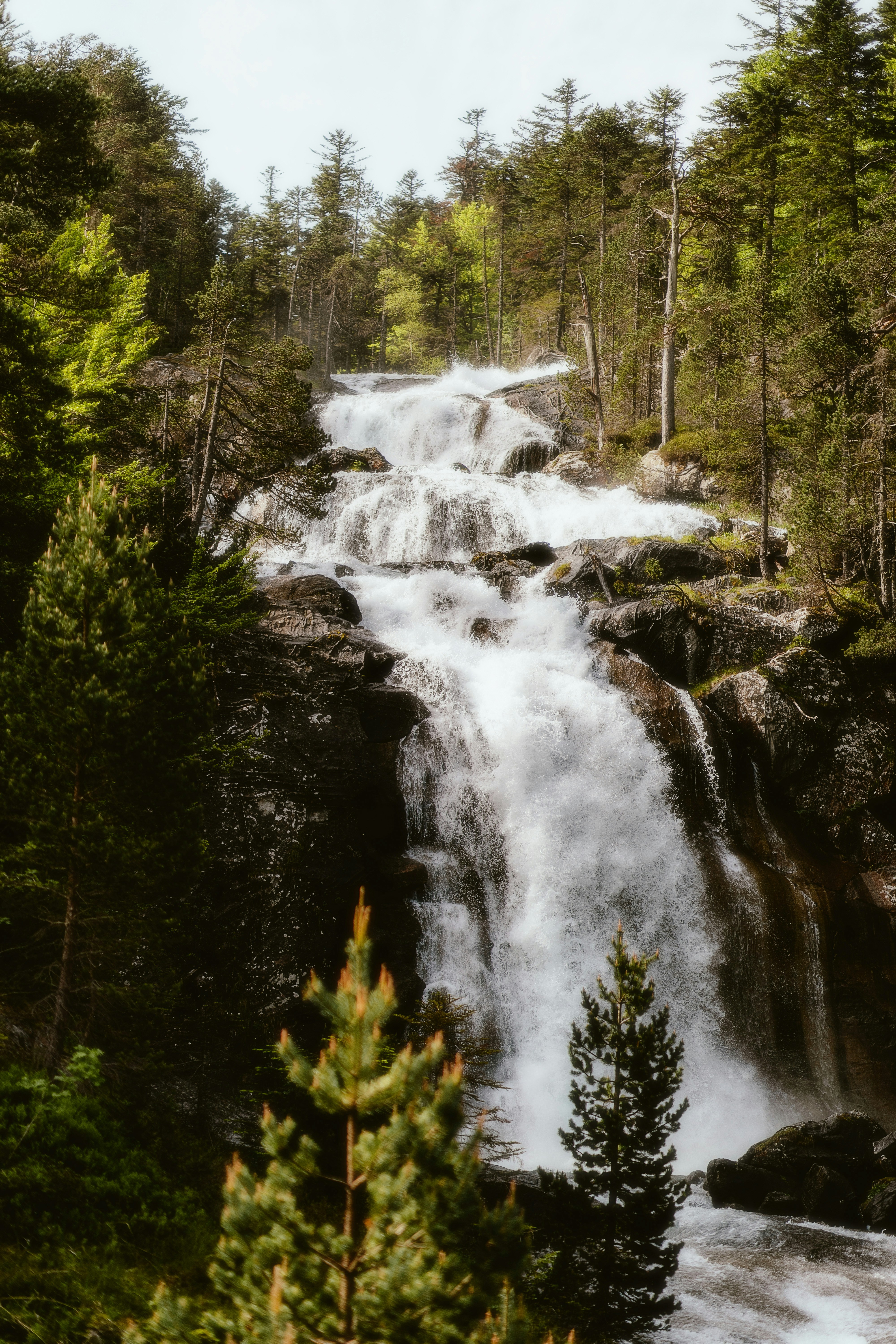 Photo by alingavriliuc