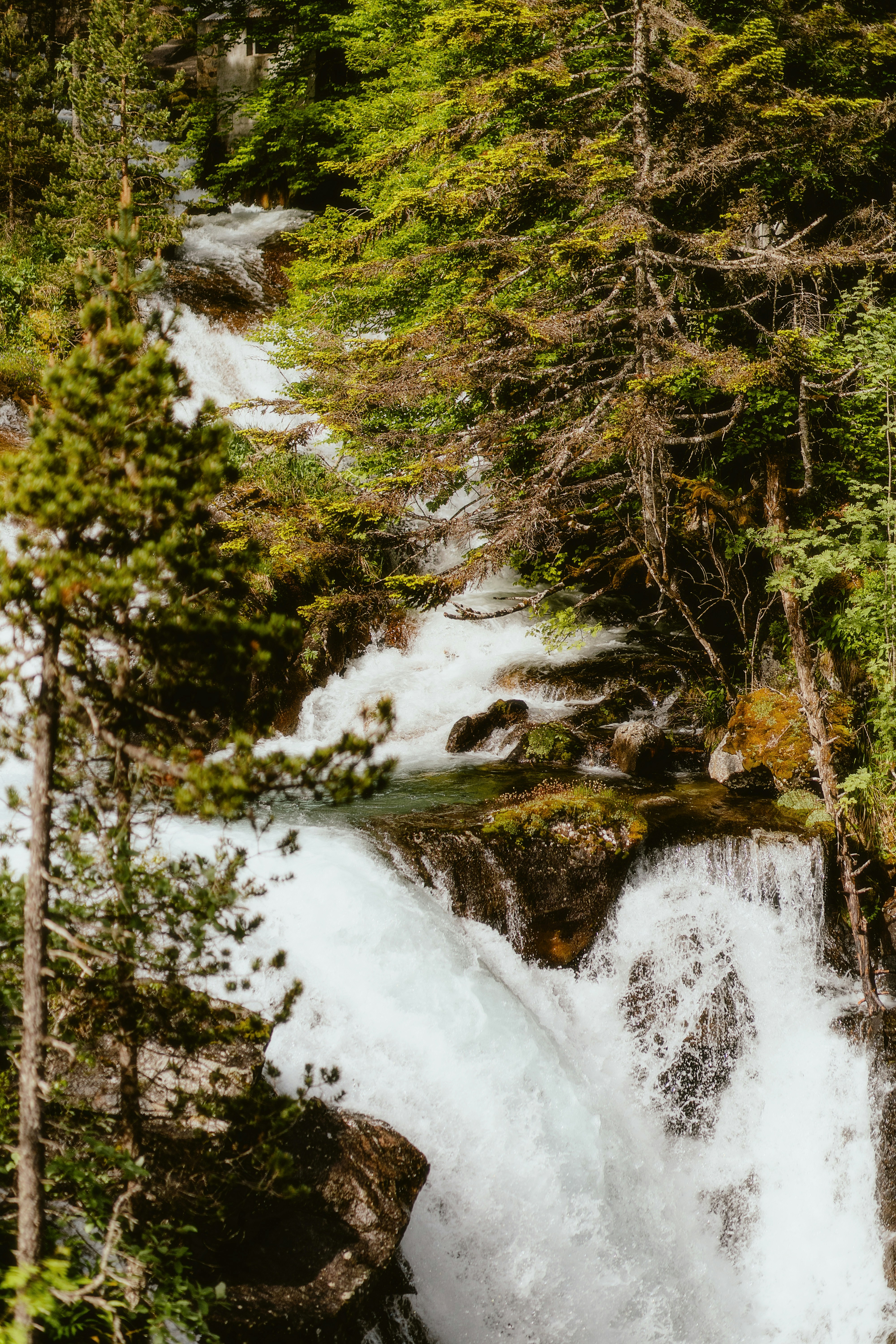 Photo by alingavriliuc