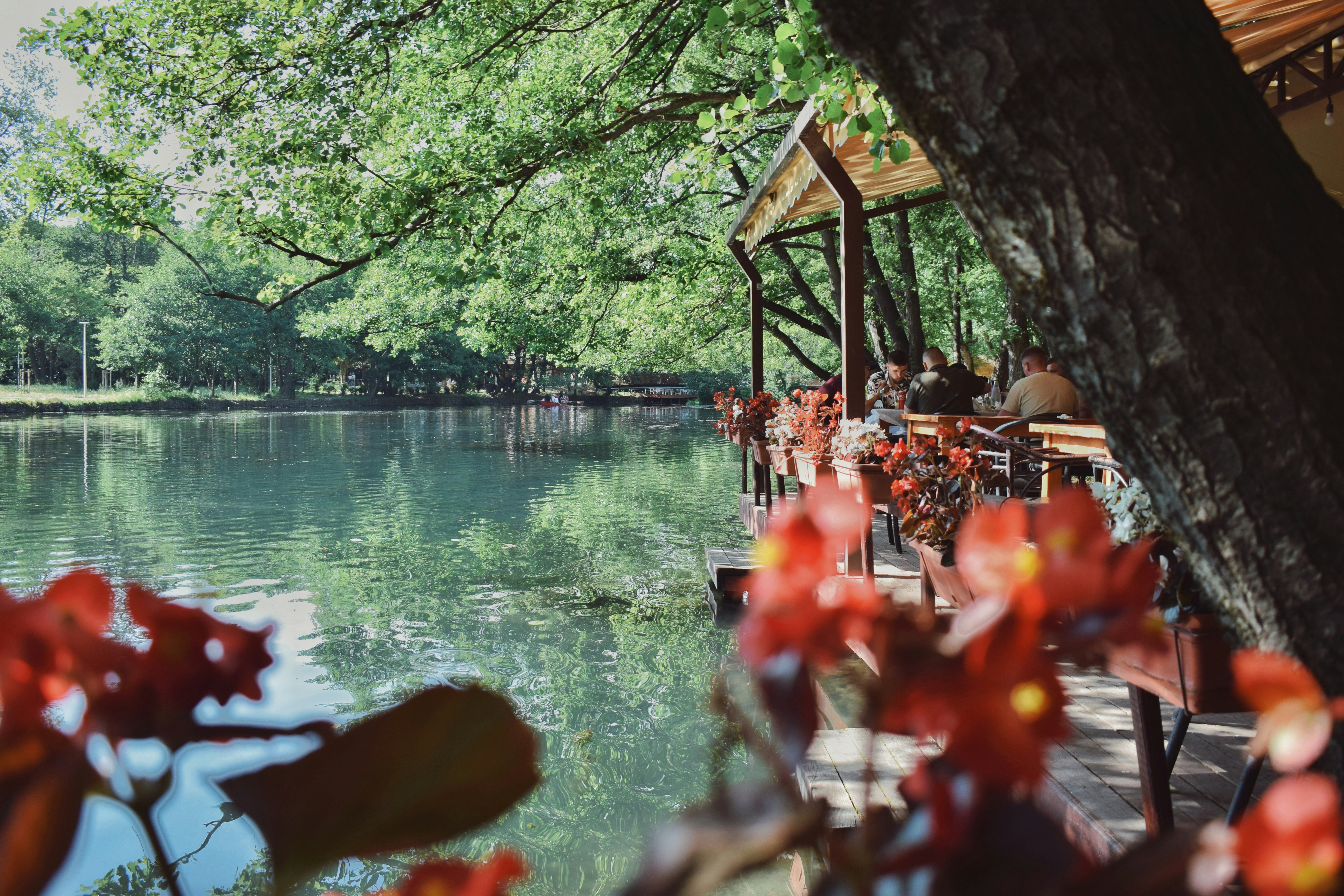 a park bench sitting next to a body of water