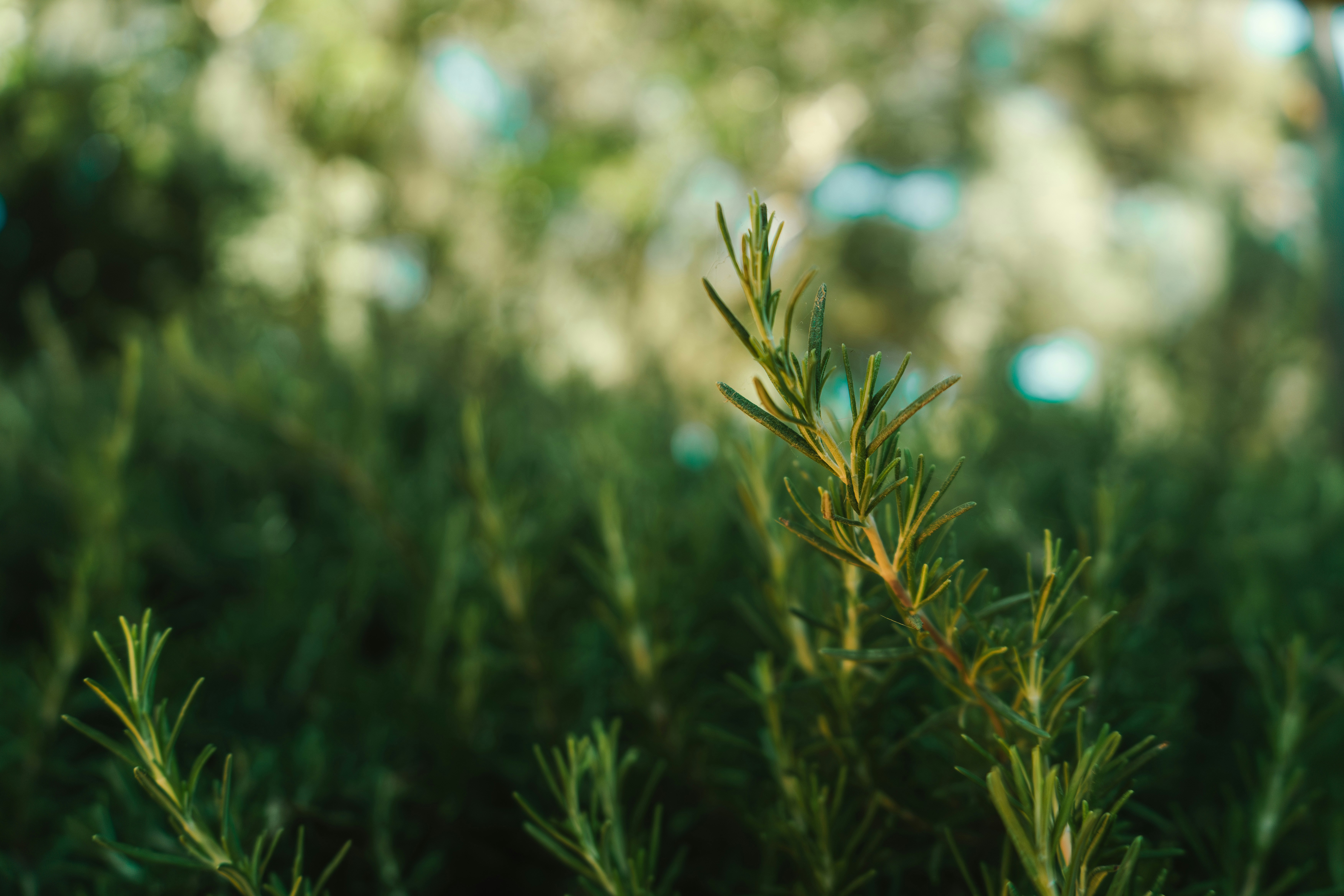 Photo by hybridpictures