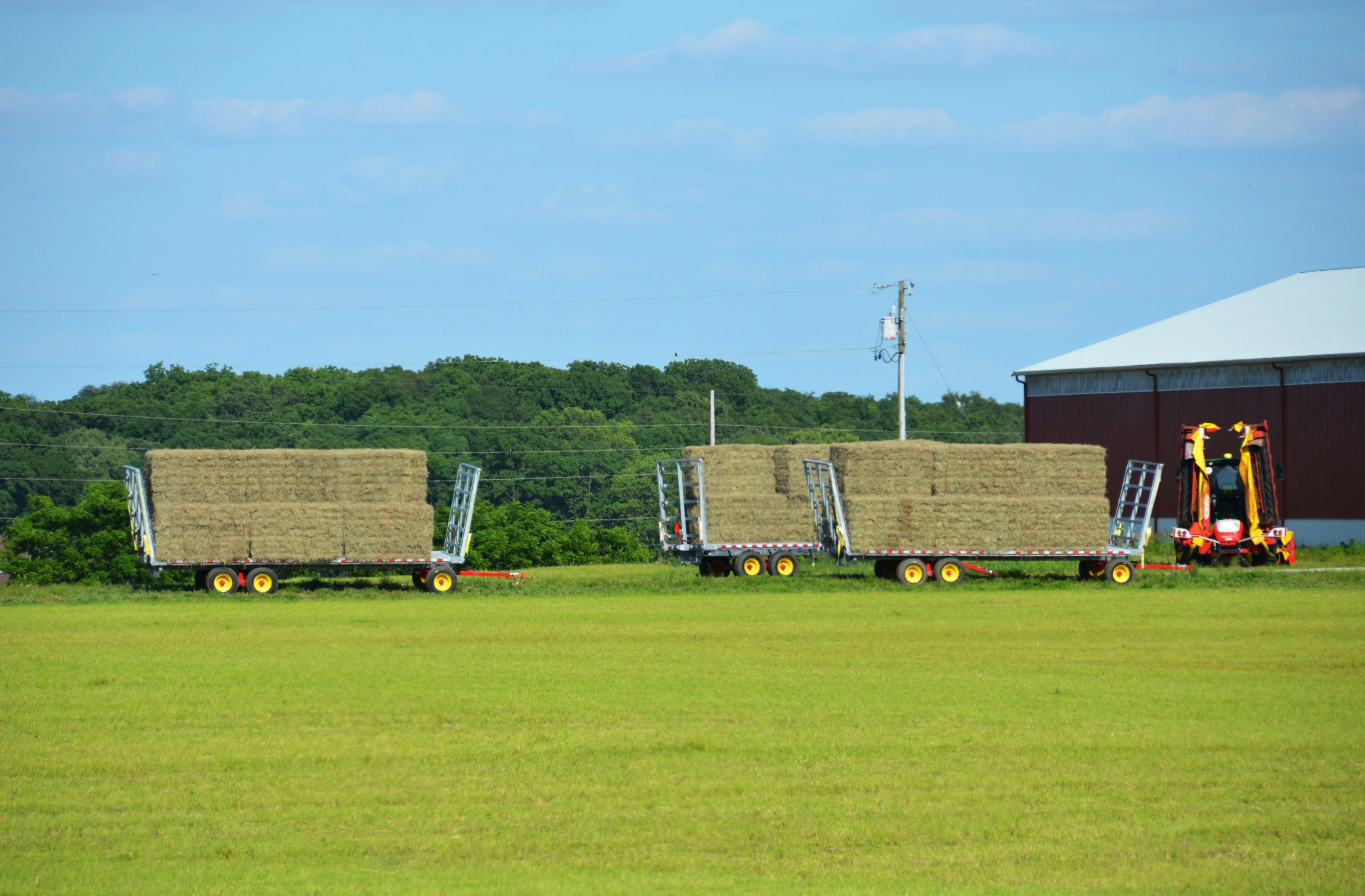 Wagons loaded with stacked pallets of sod parked on a mowed sod field beside a barn