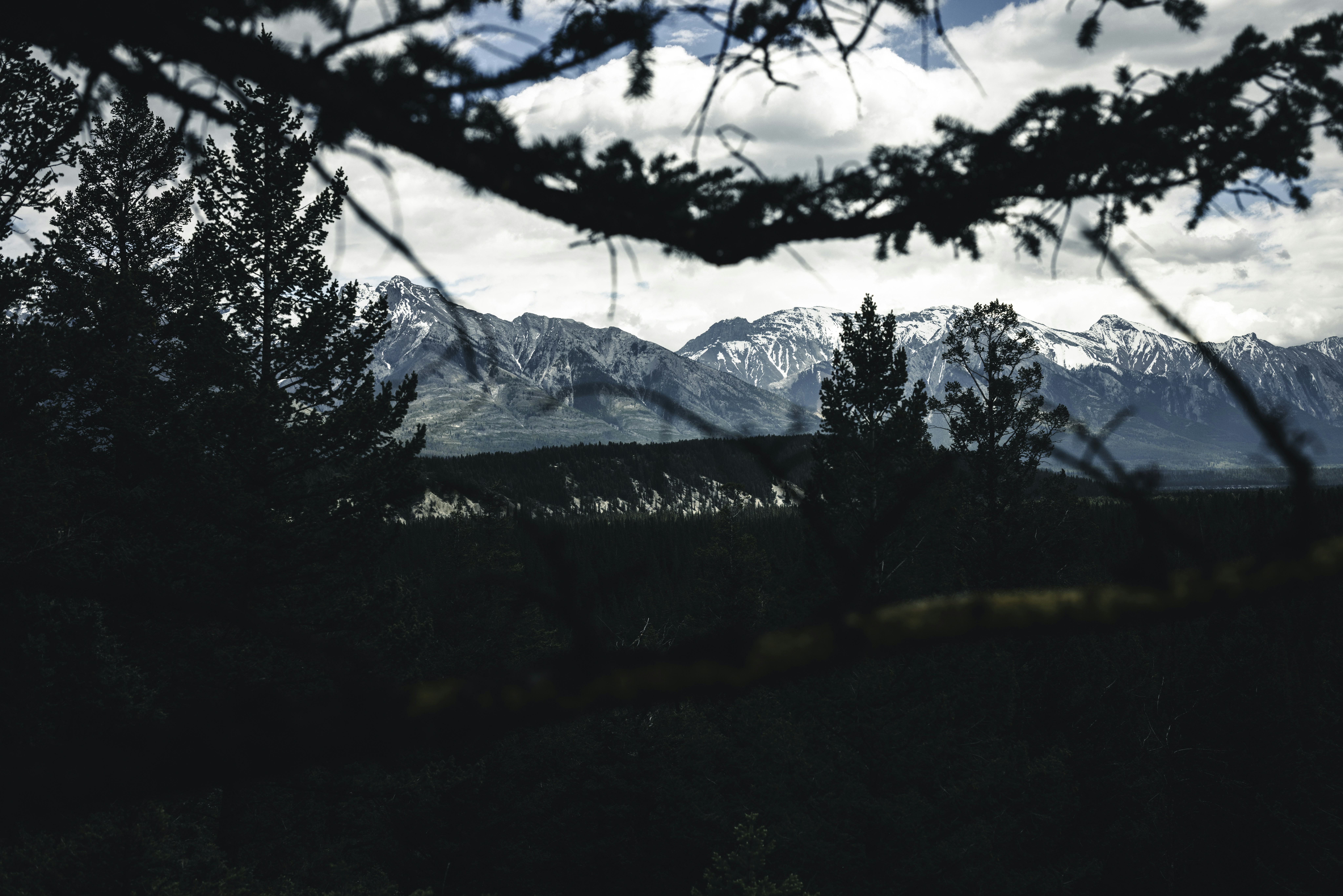 Photo by lureofadventure