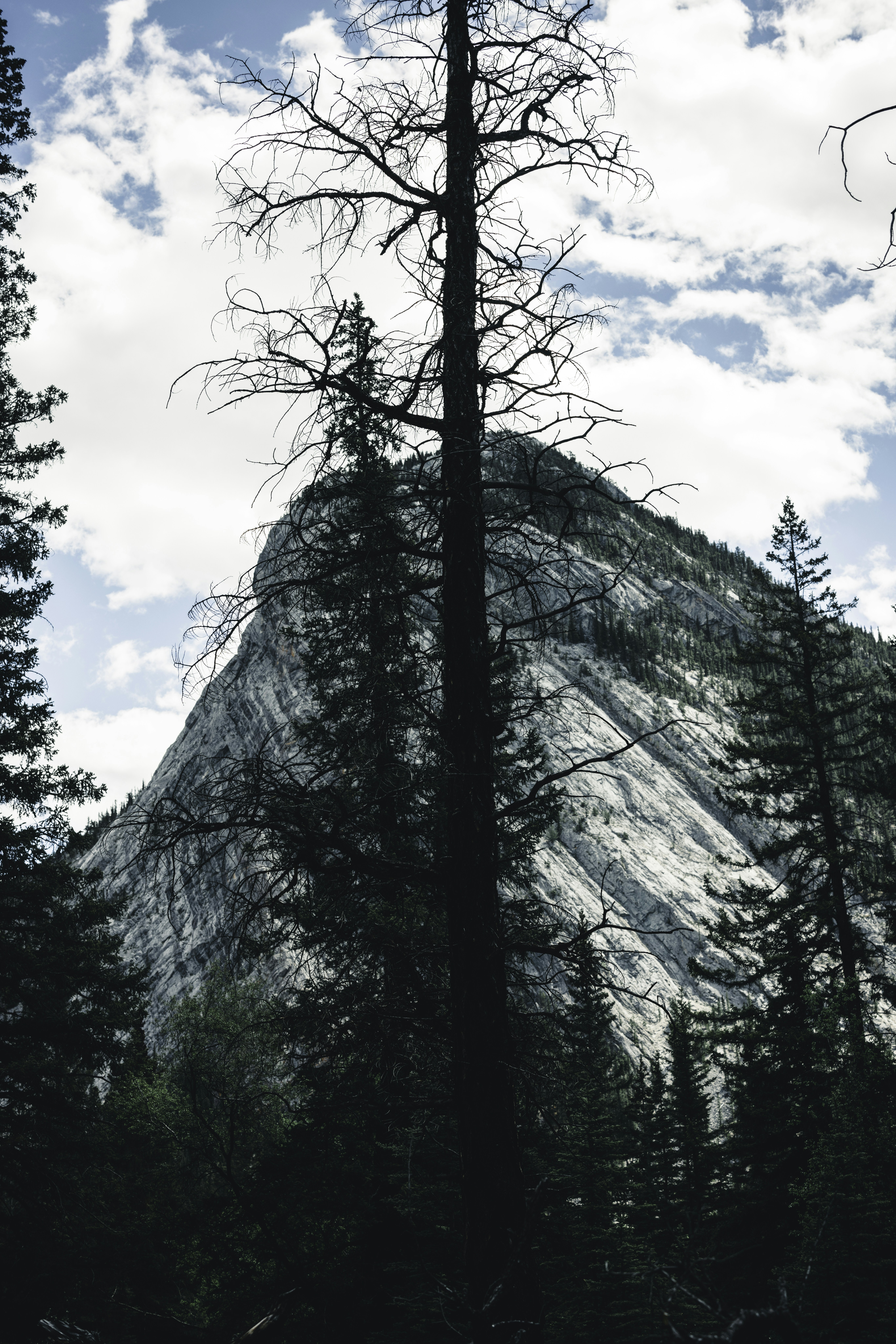 Photo by lureofadventure