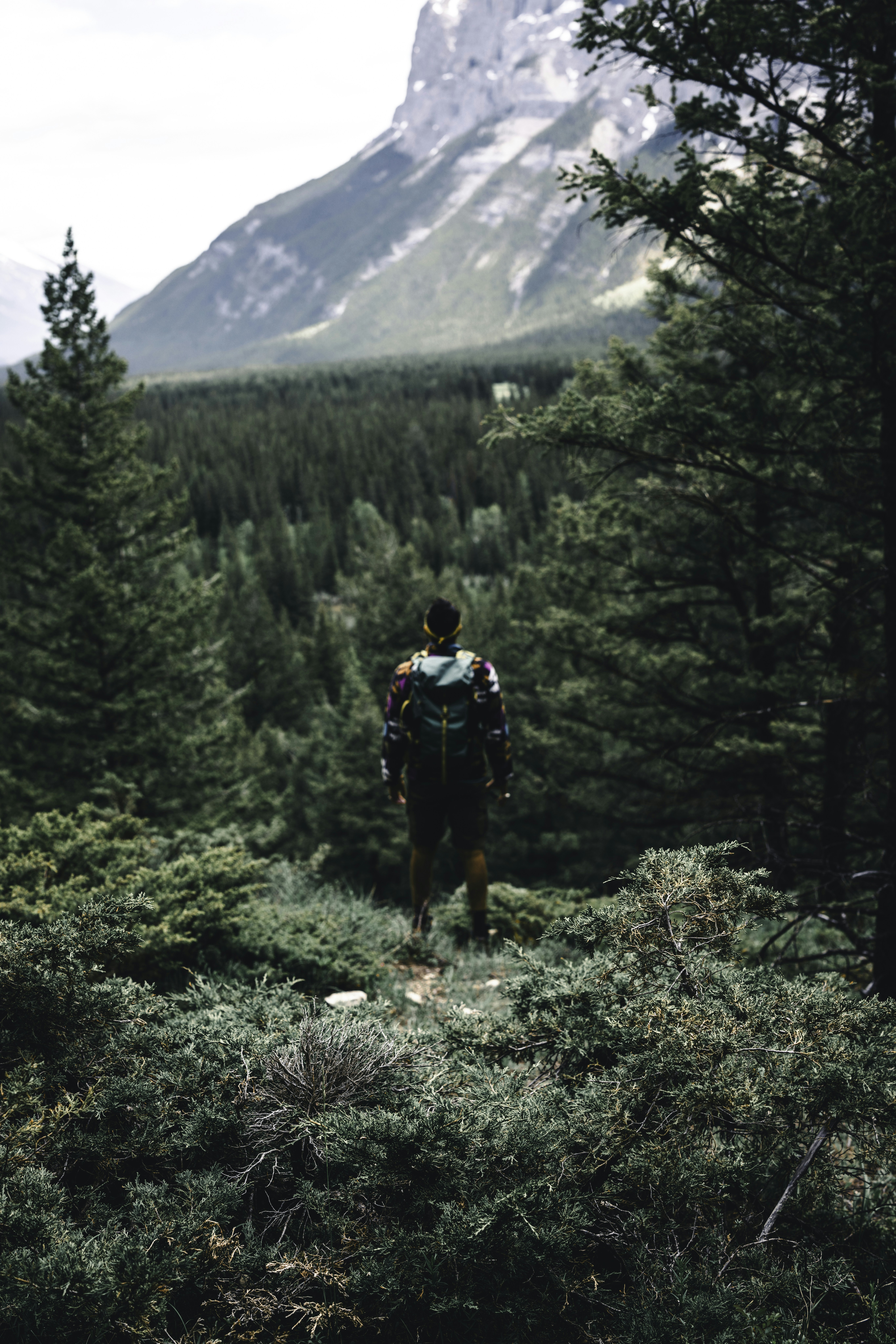 a man with a backpack walking through a forest
