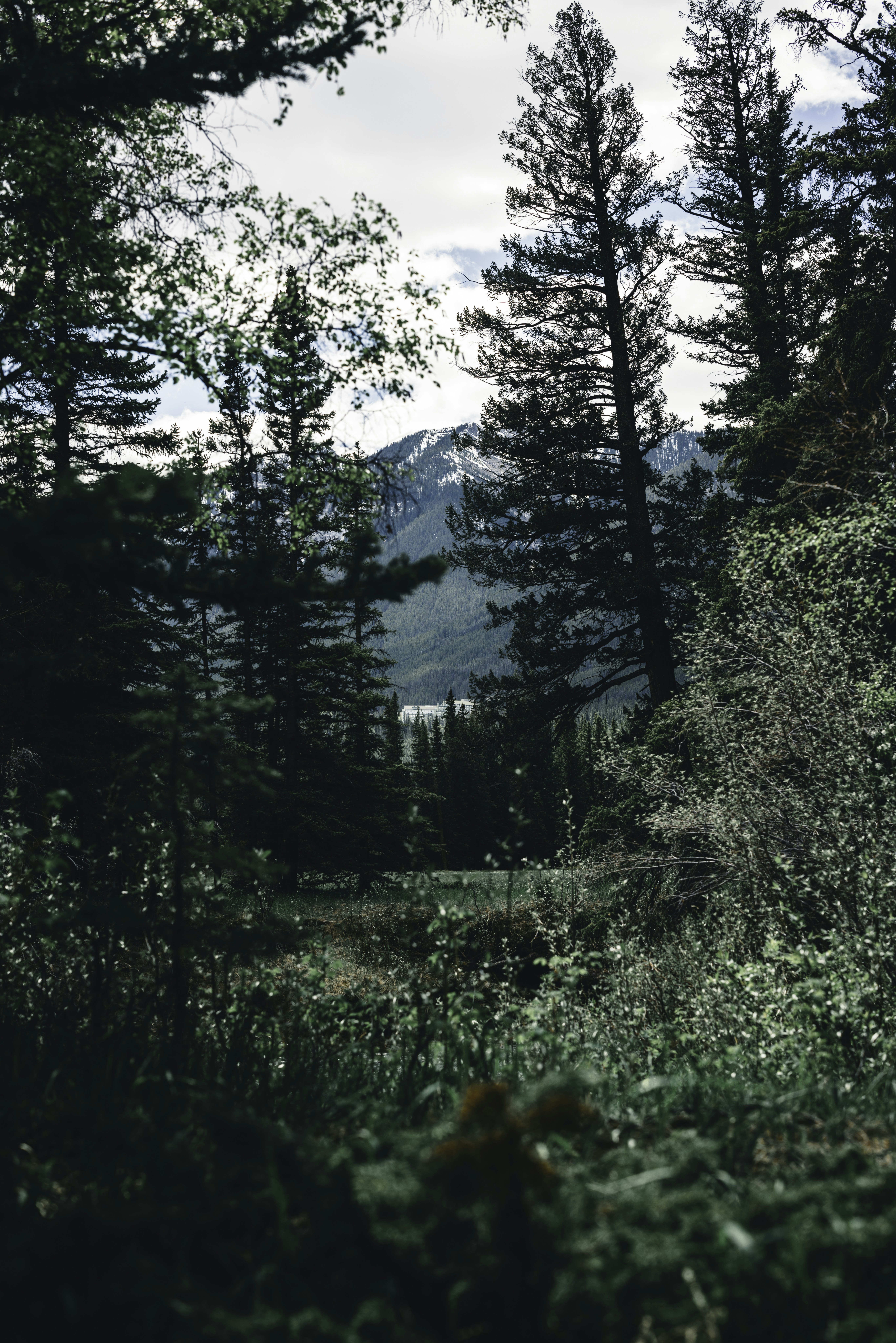 Photo by lureofadventure