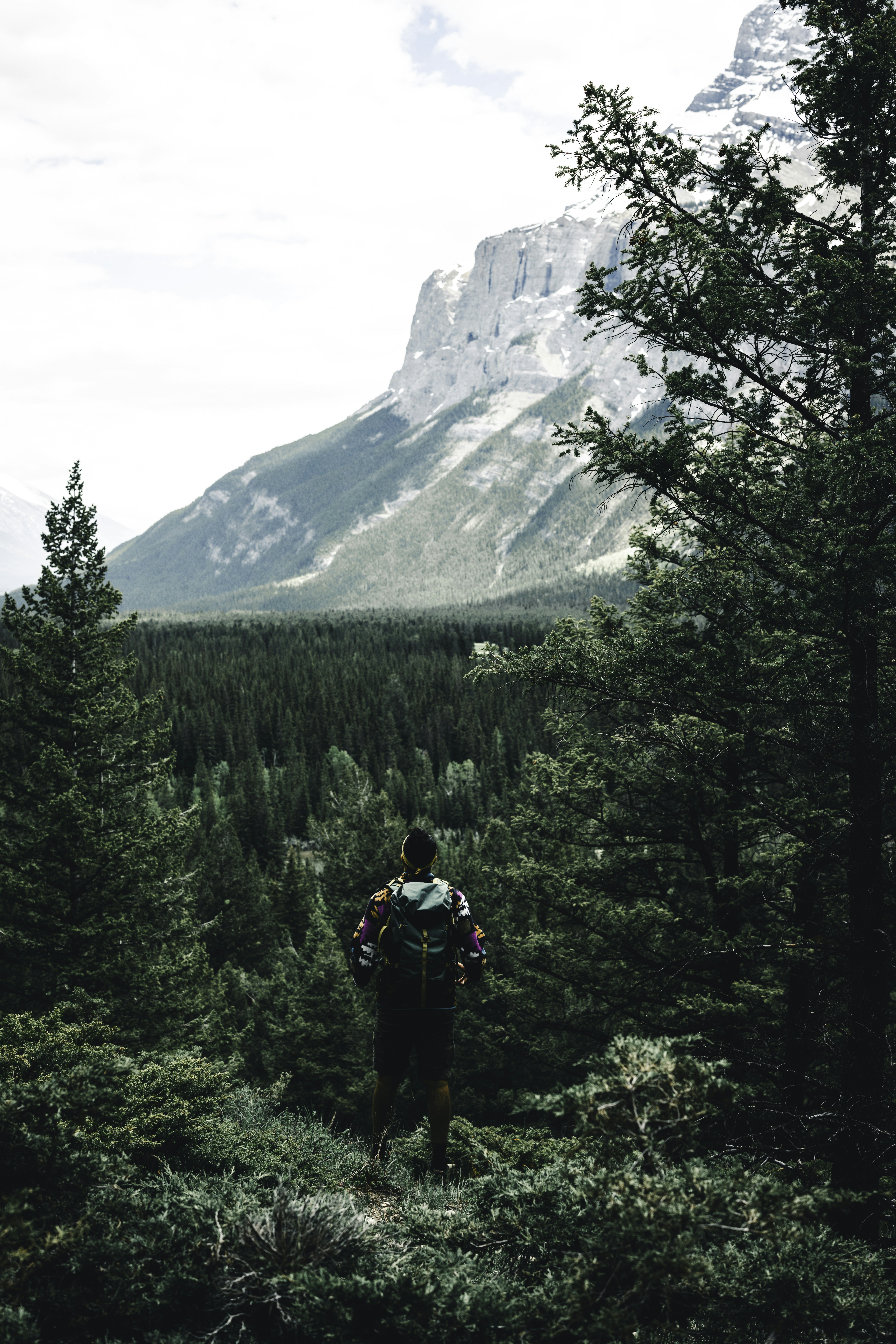 a man with a backpack walking through a forest