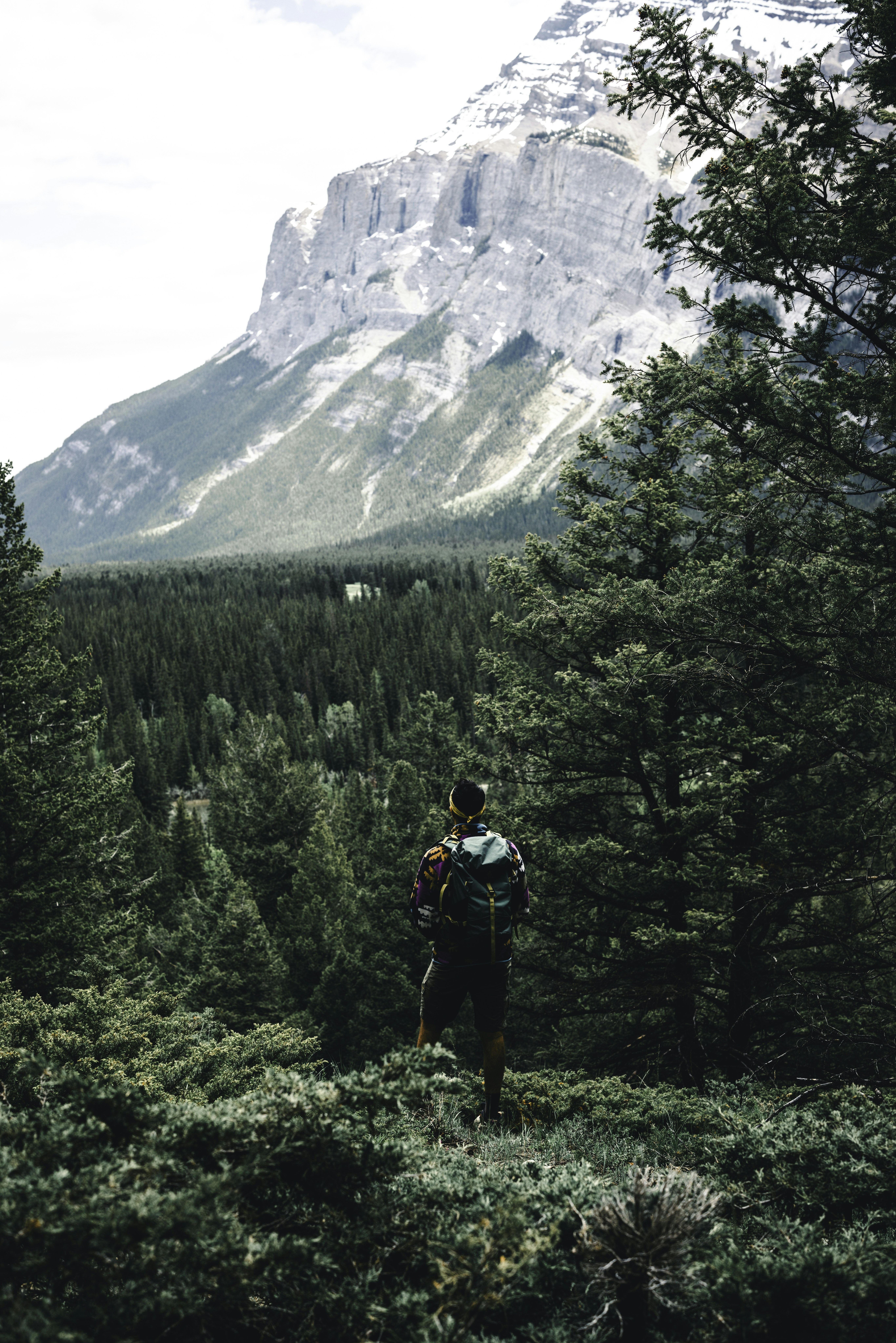 a person with a backpack standing in the woods