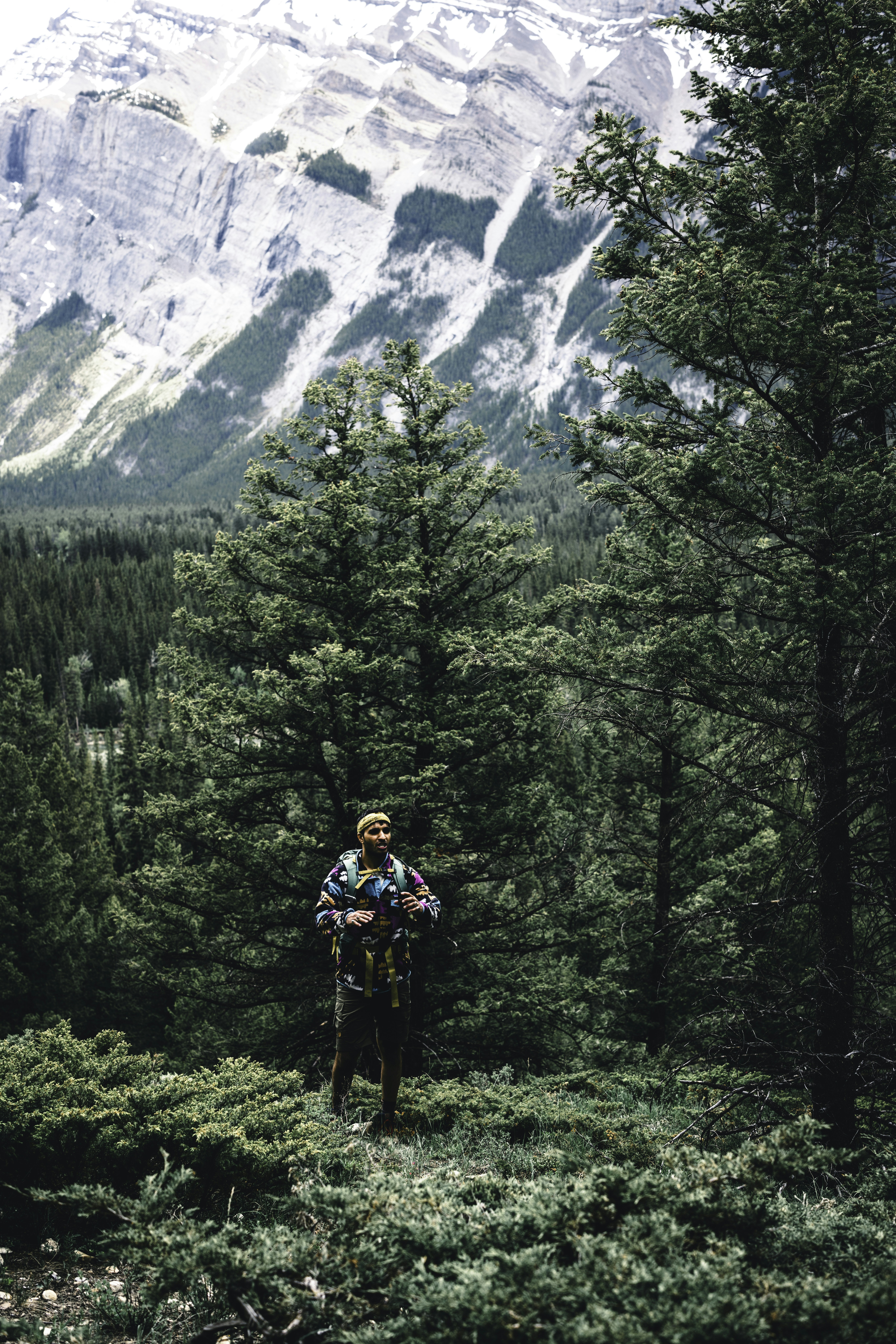 a man standing in the middle of a forest