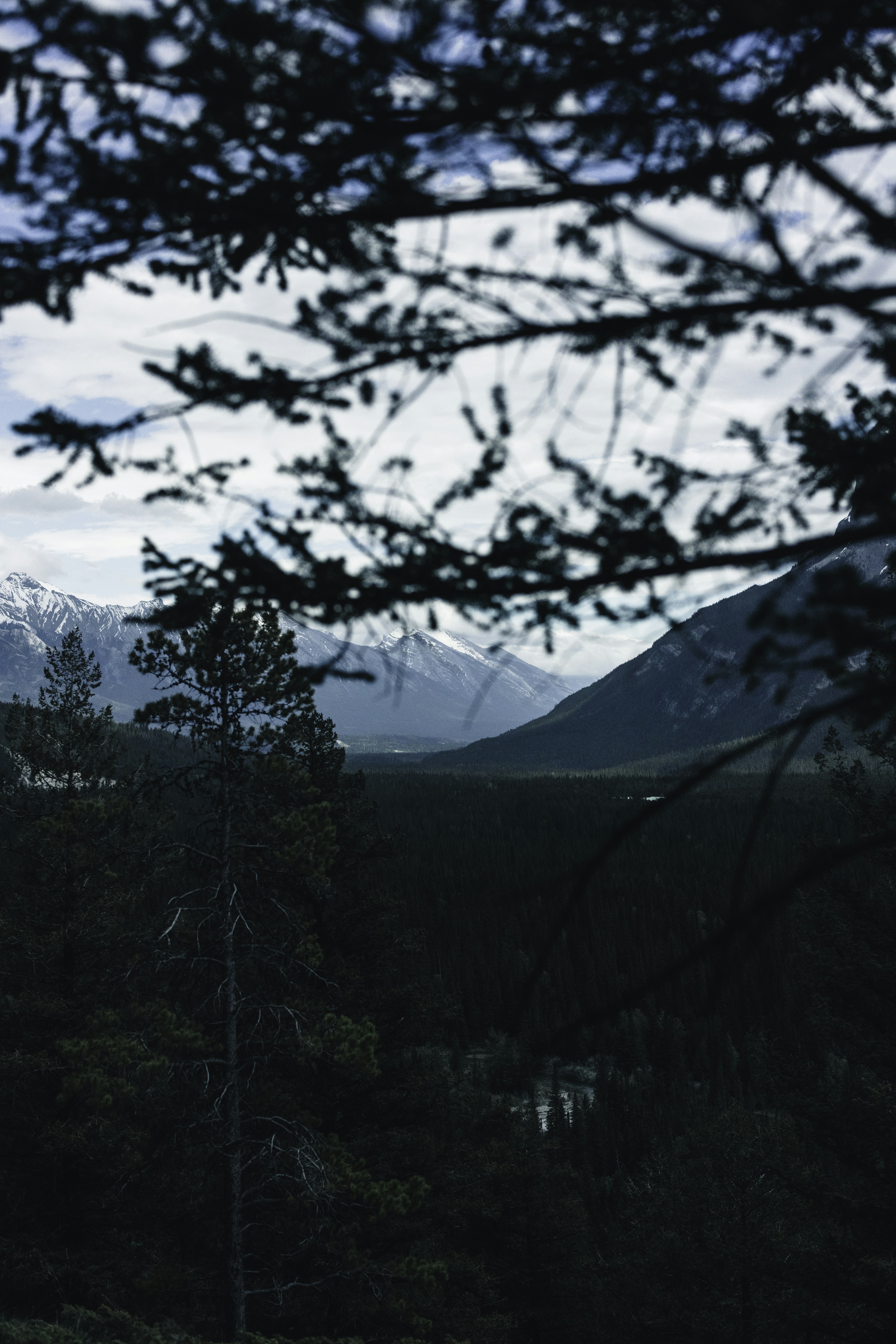 Photo by lureofadventure