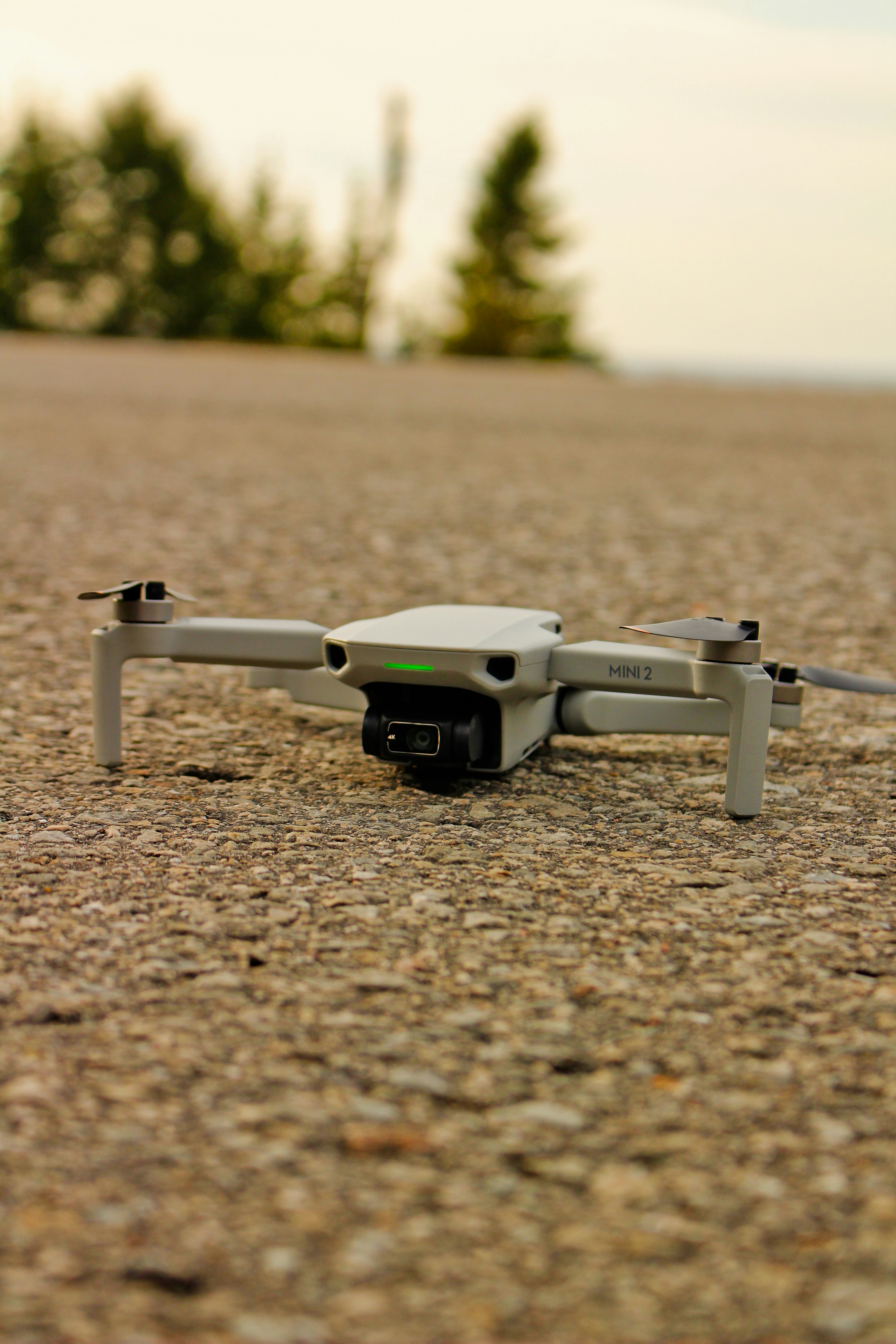 Photo by elijahaustin