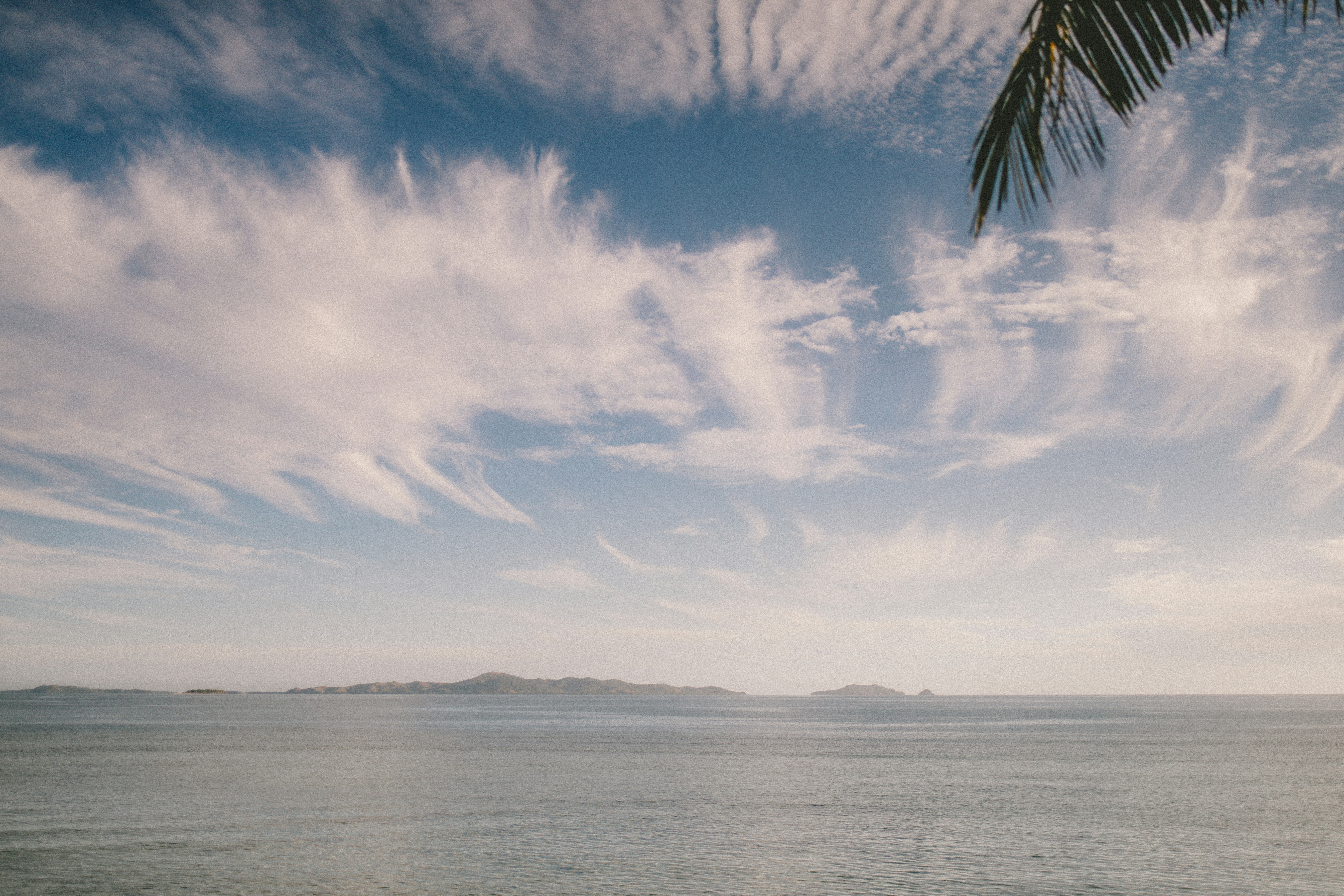 a palm tree sitting on top of a beach next to the ocean