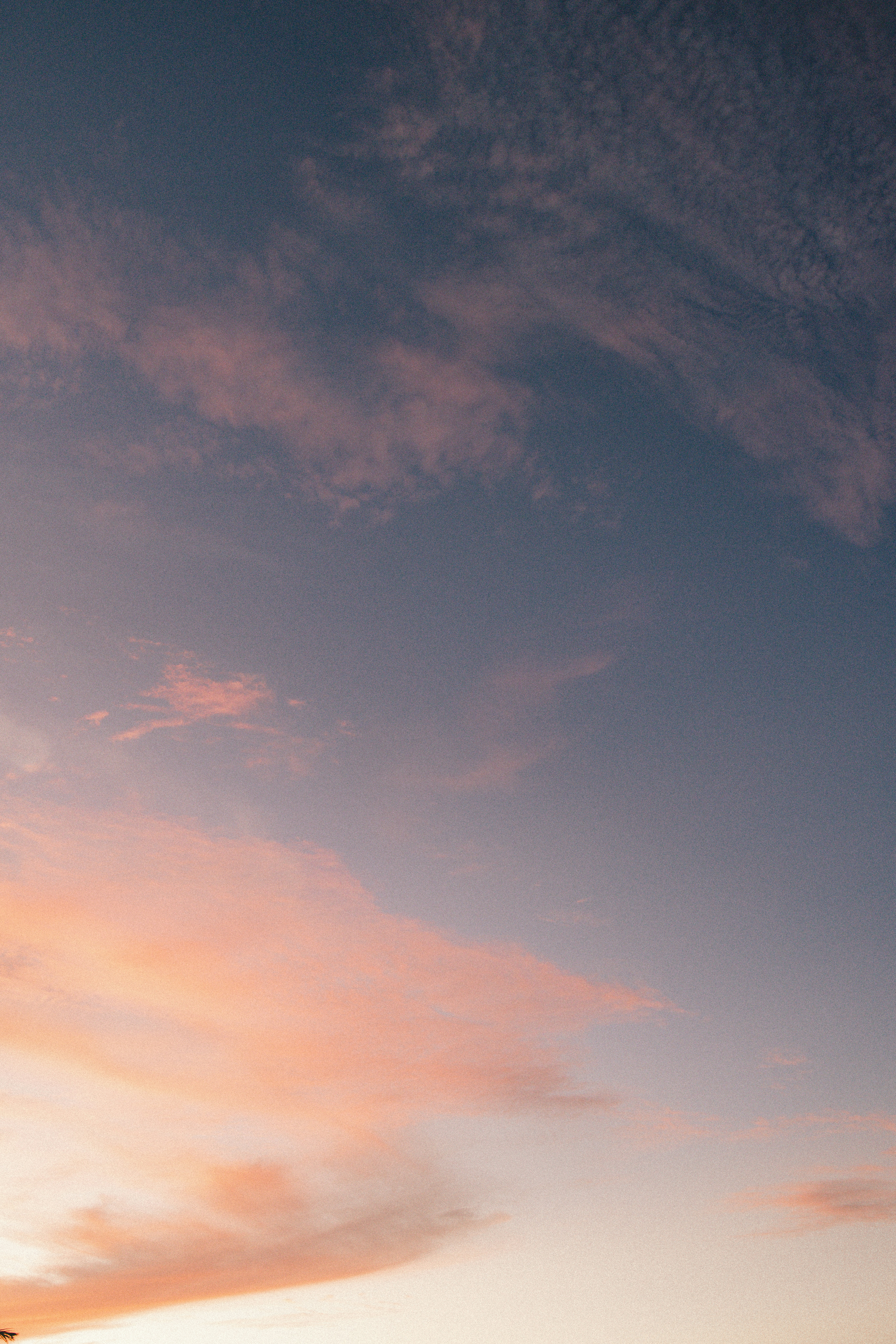 Photo by joshwithers