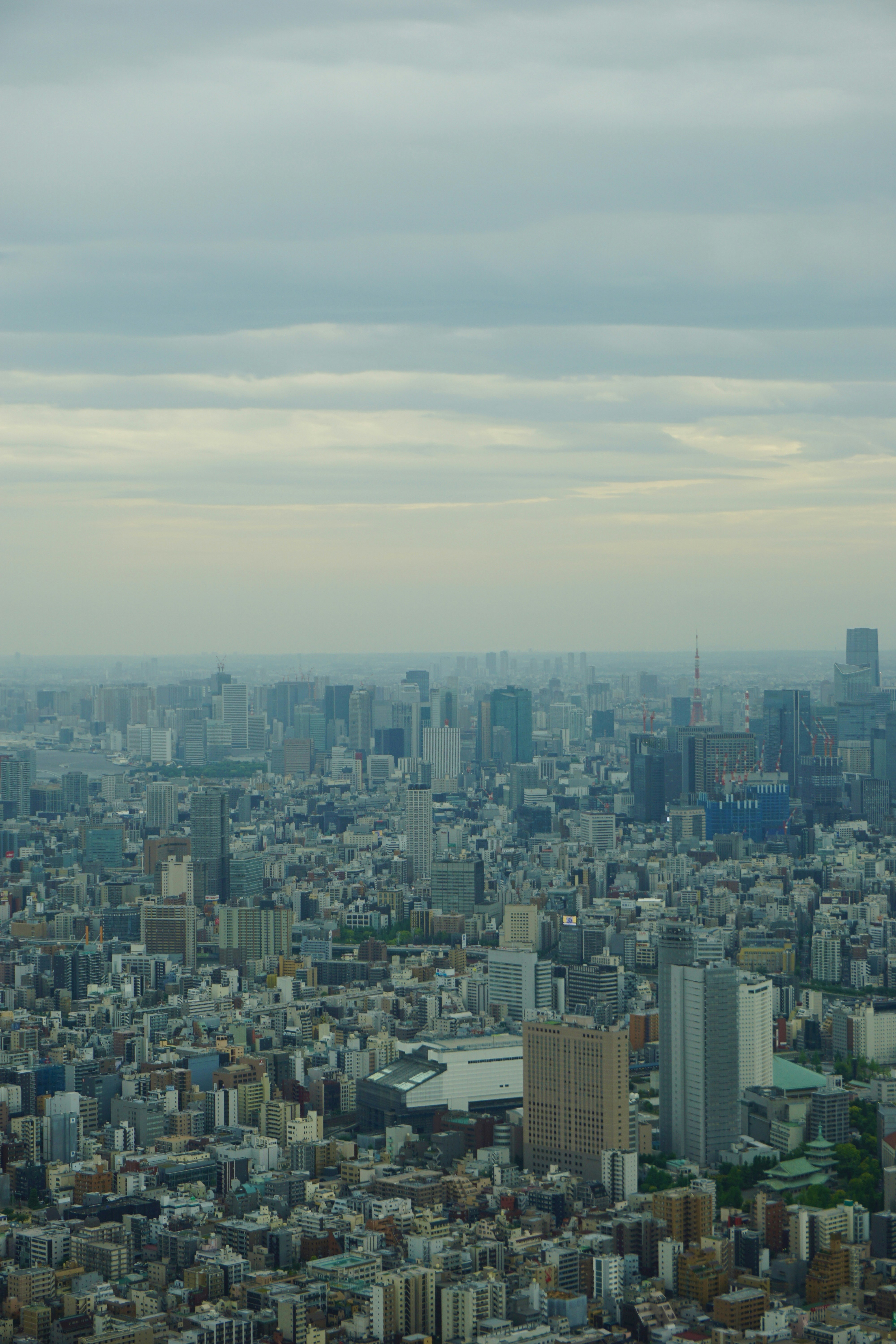 Photo by syria_polidoro