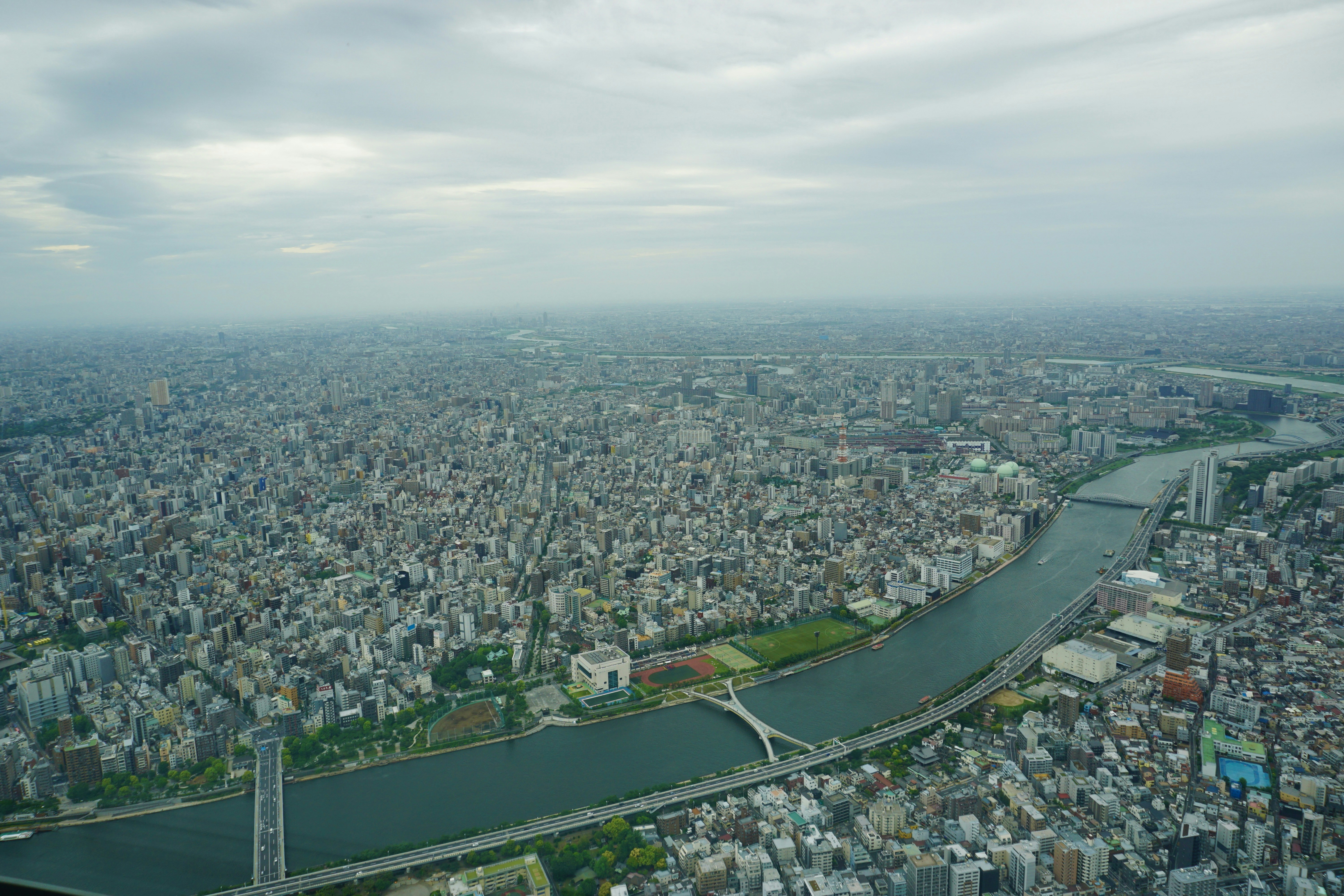 Photo by syria_polidoro