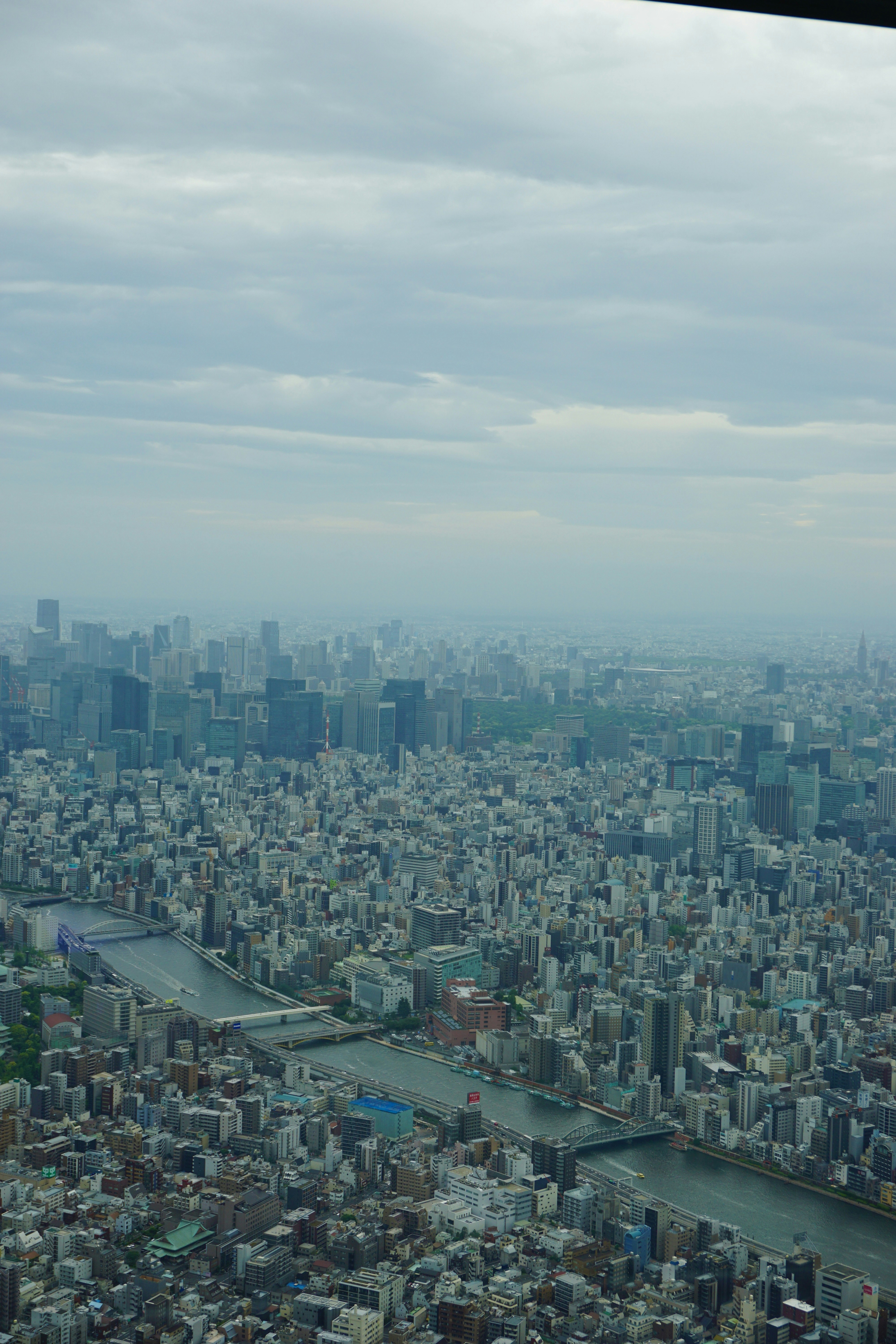 Photo by syria_polidoro