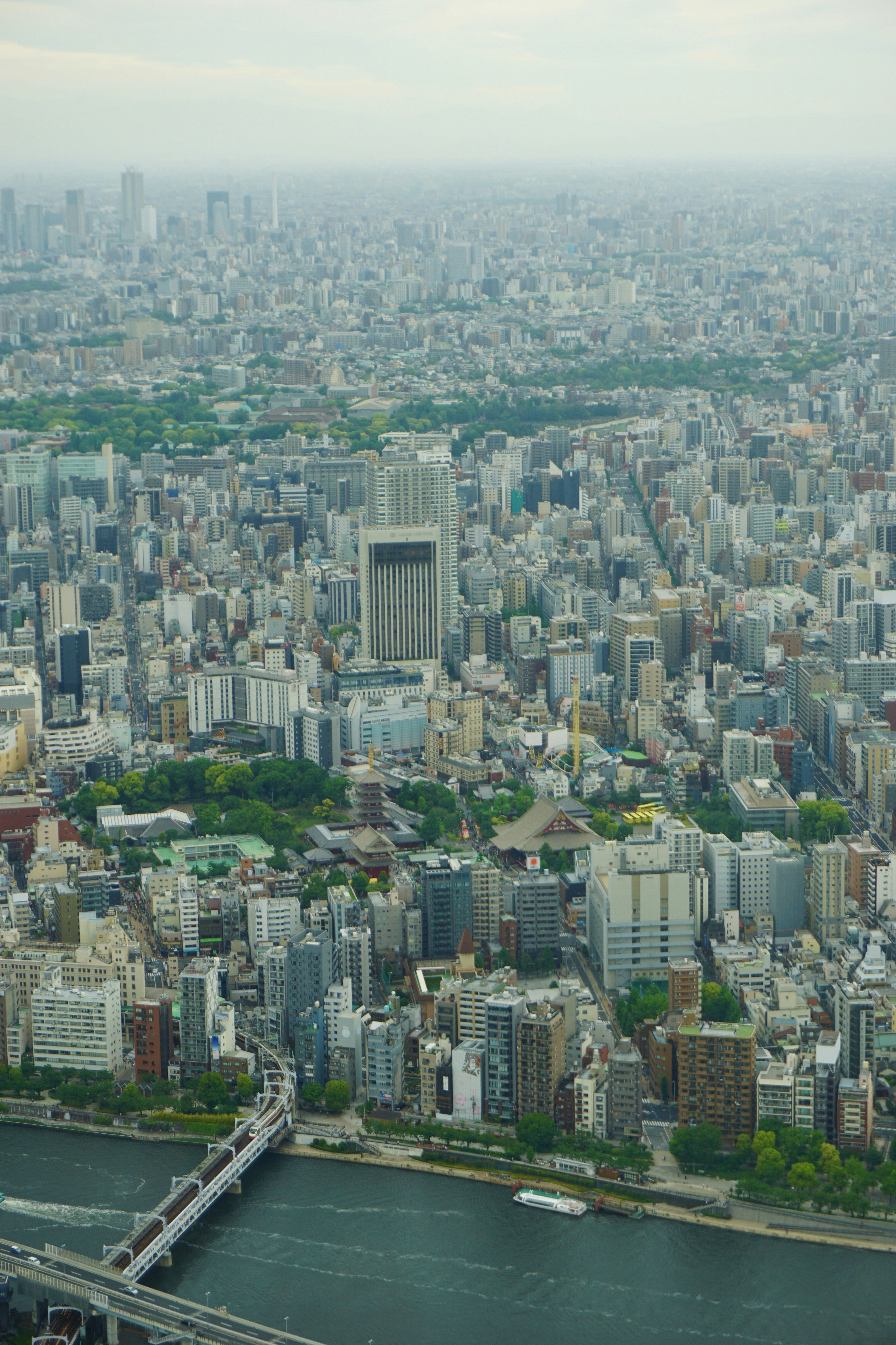 Photo by syria_polidoro