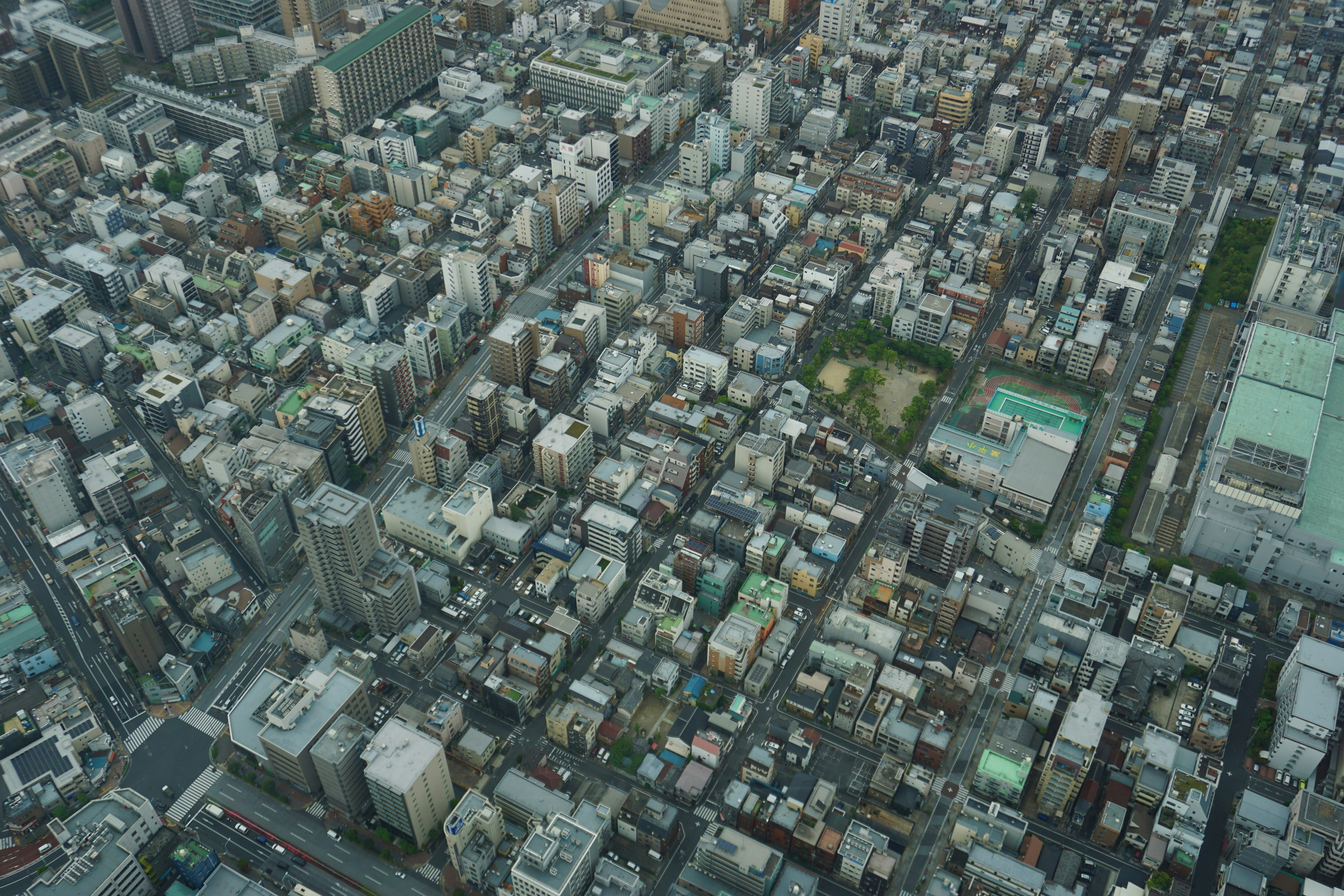 Photo by syria_polidoro