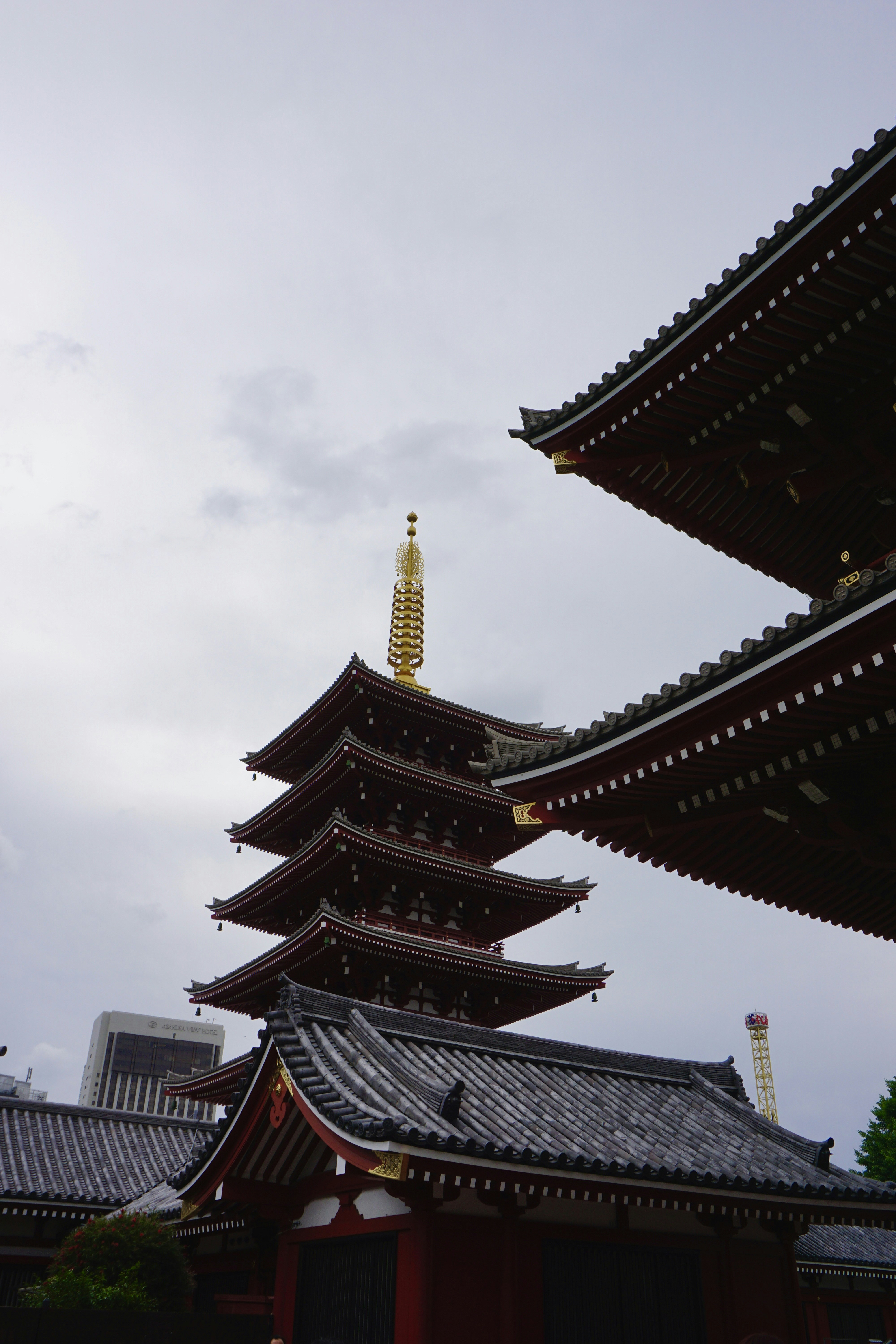 Photo by syria_polidoro