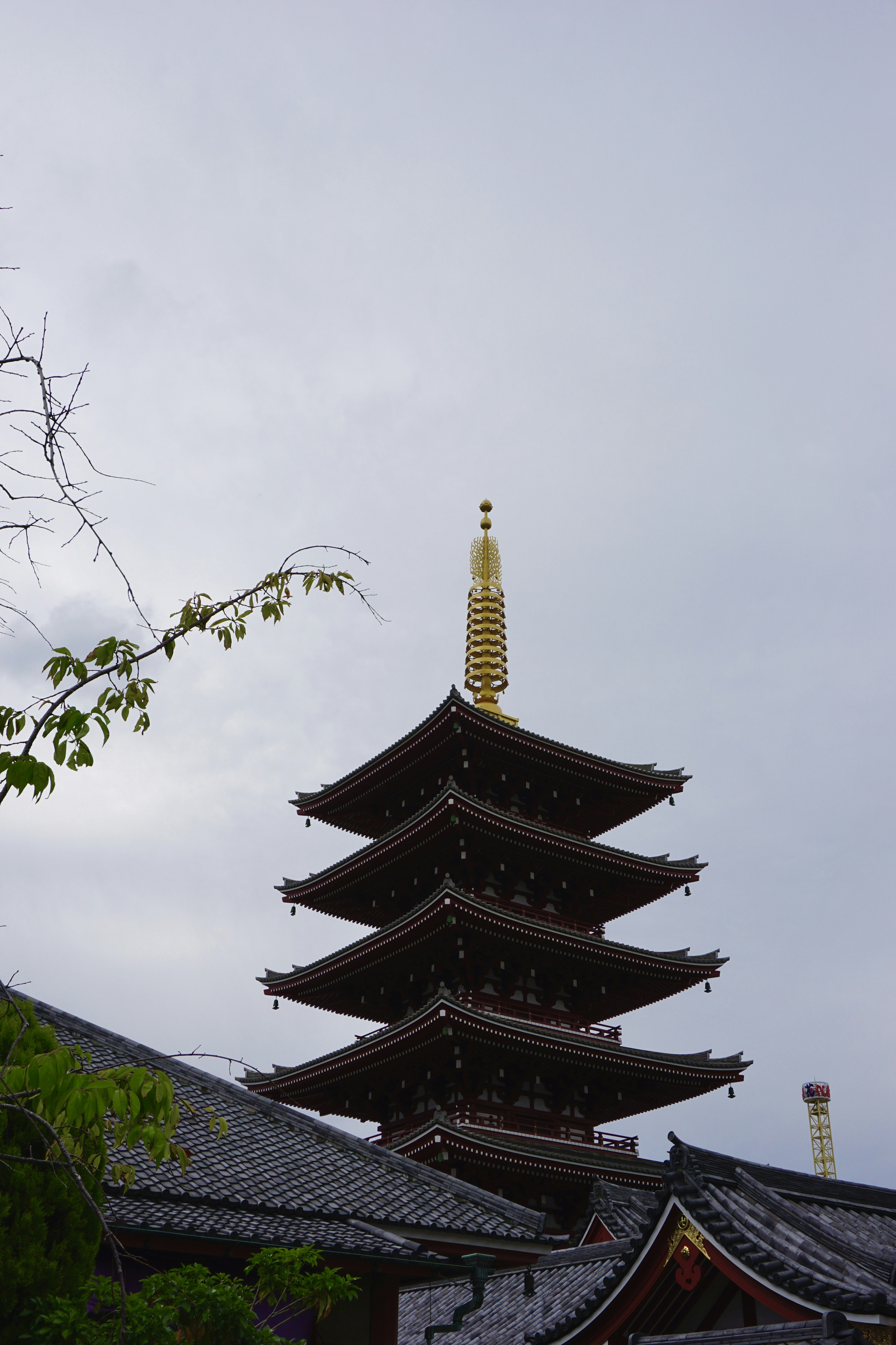 Photo by syria_polidoro