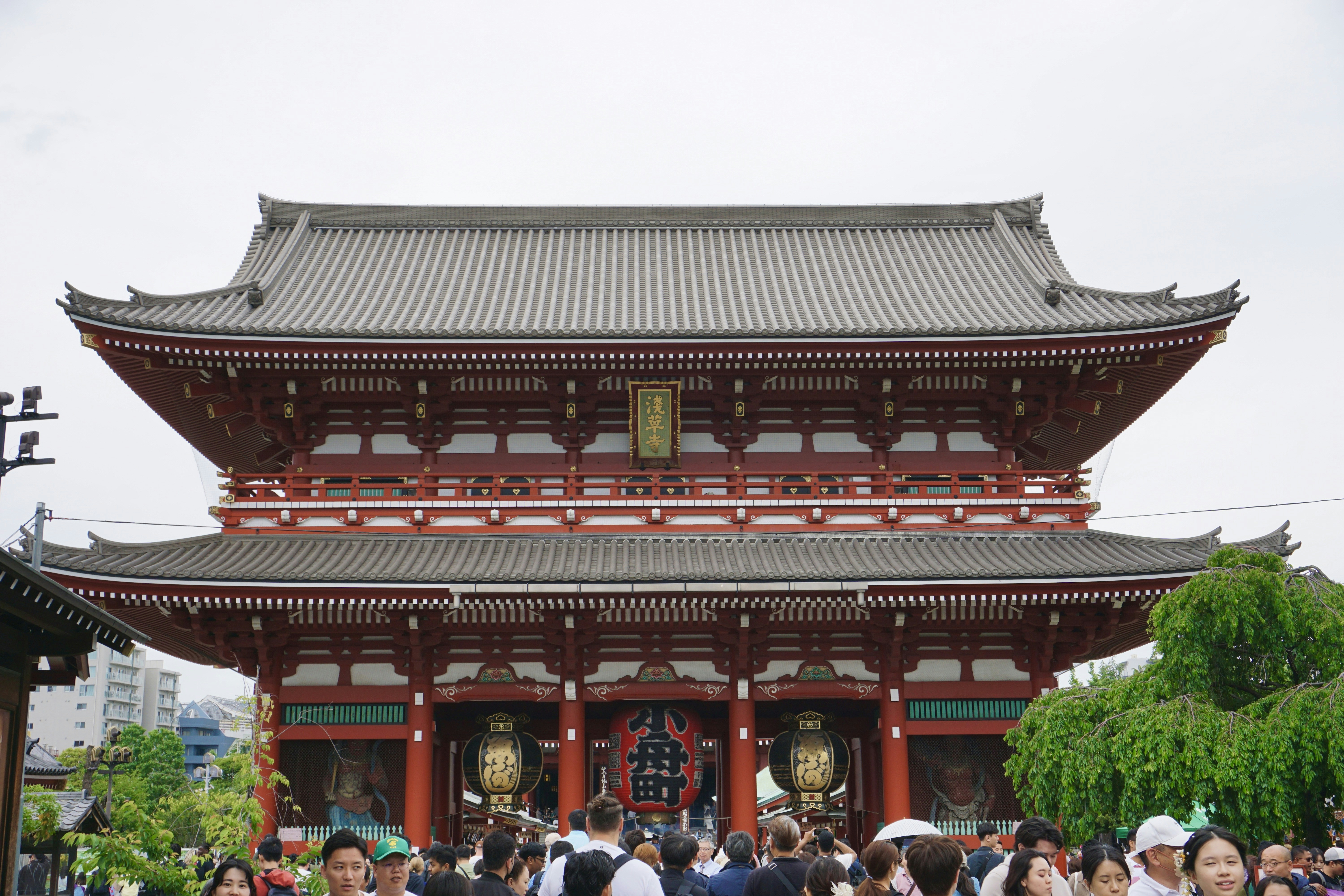 Photo by syria_polidoro