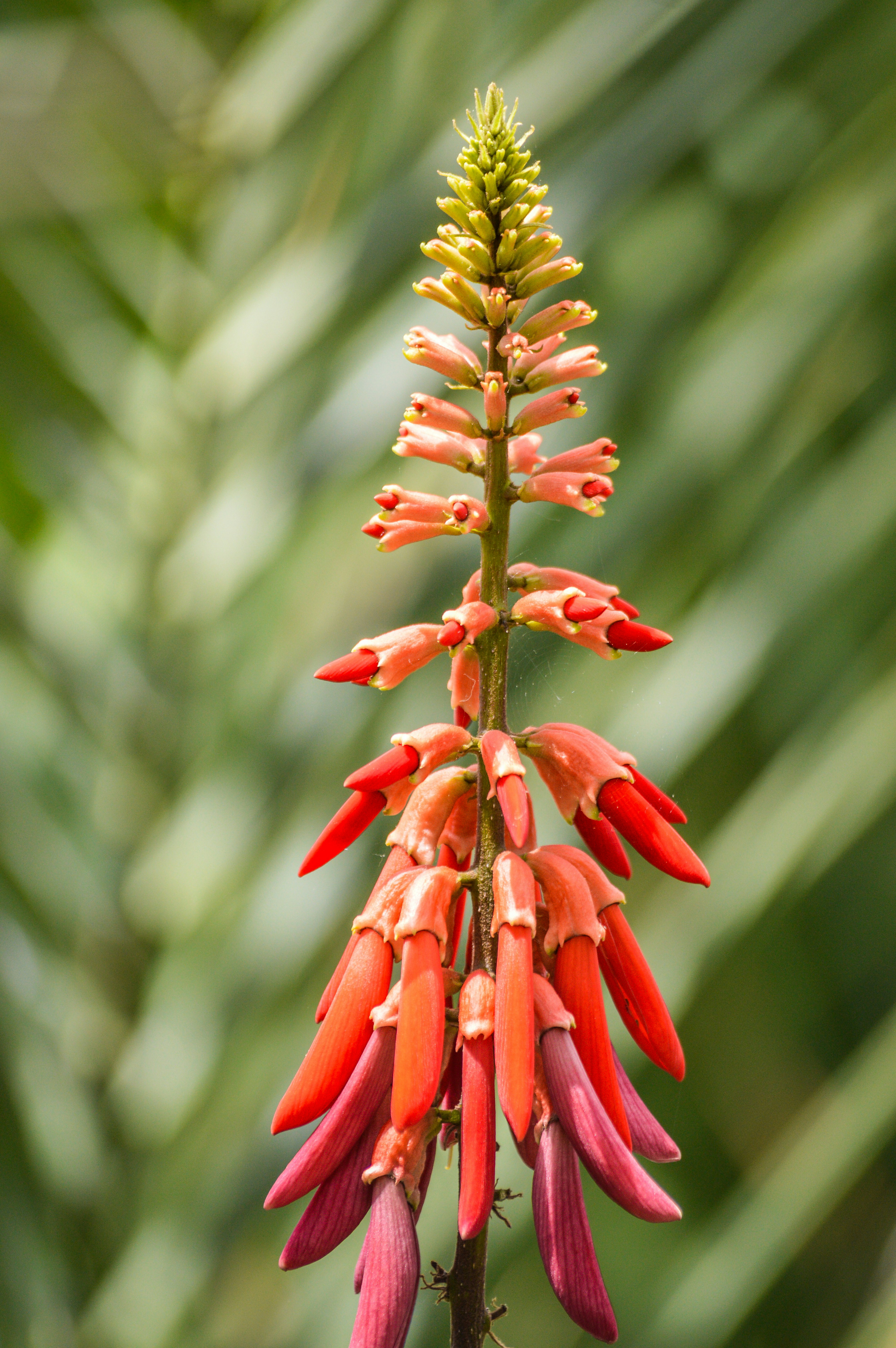 Photo by saidyigitcamlica