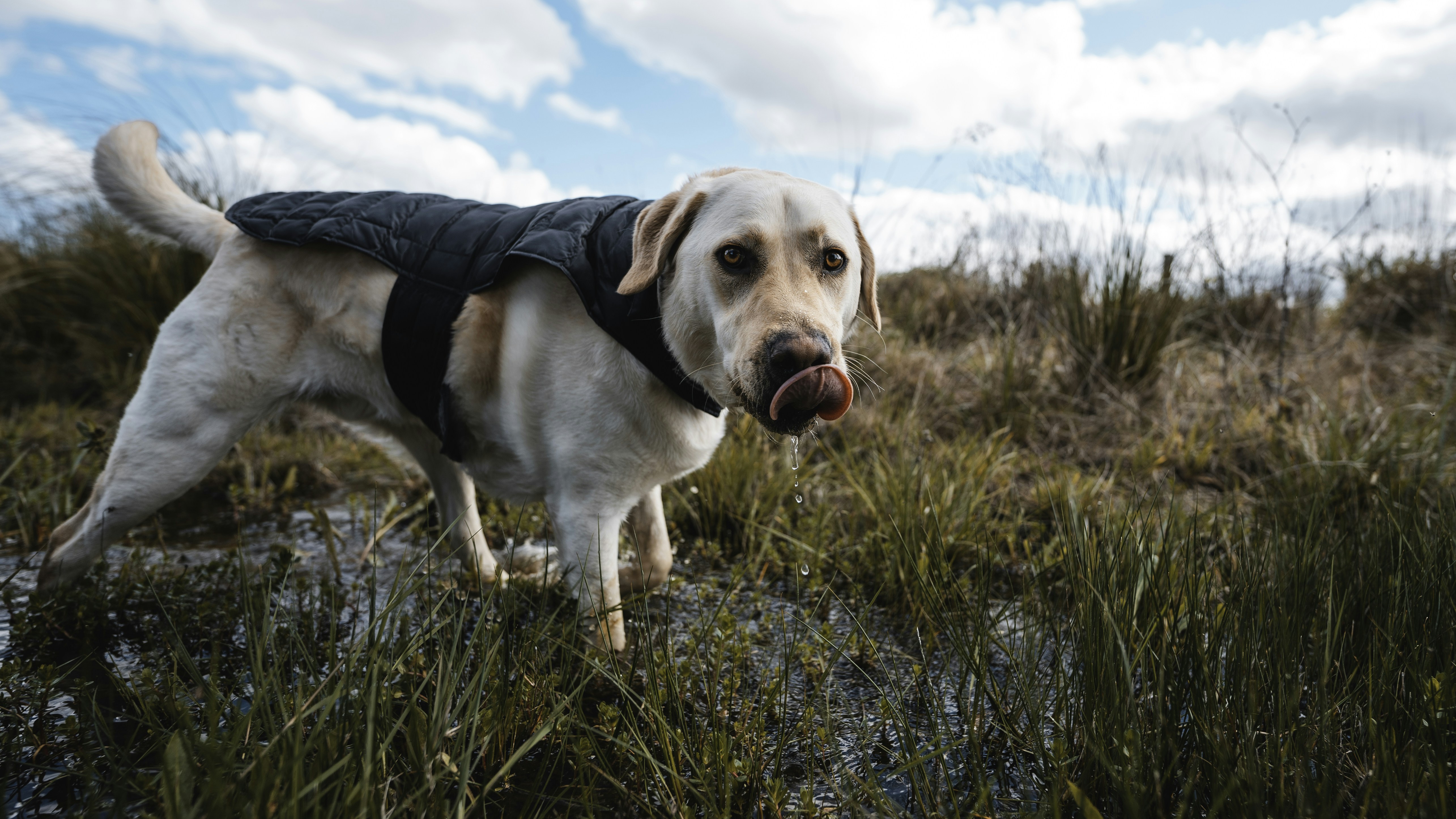 Photo by nathjennings_