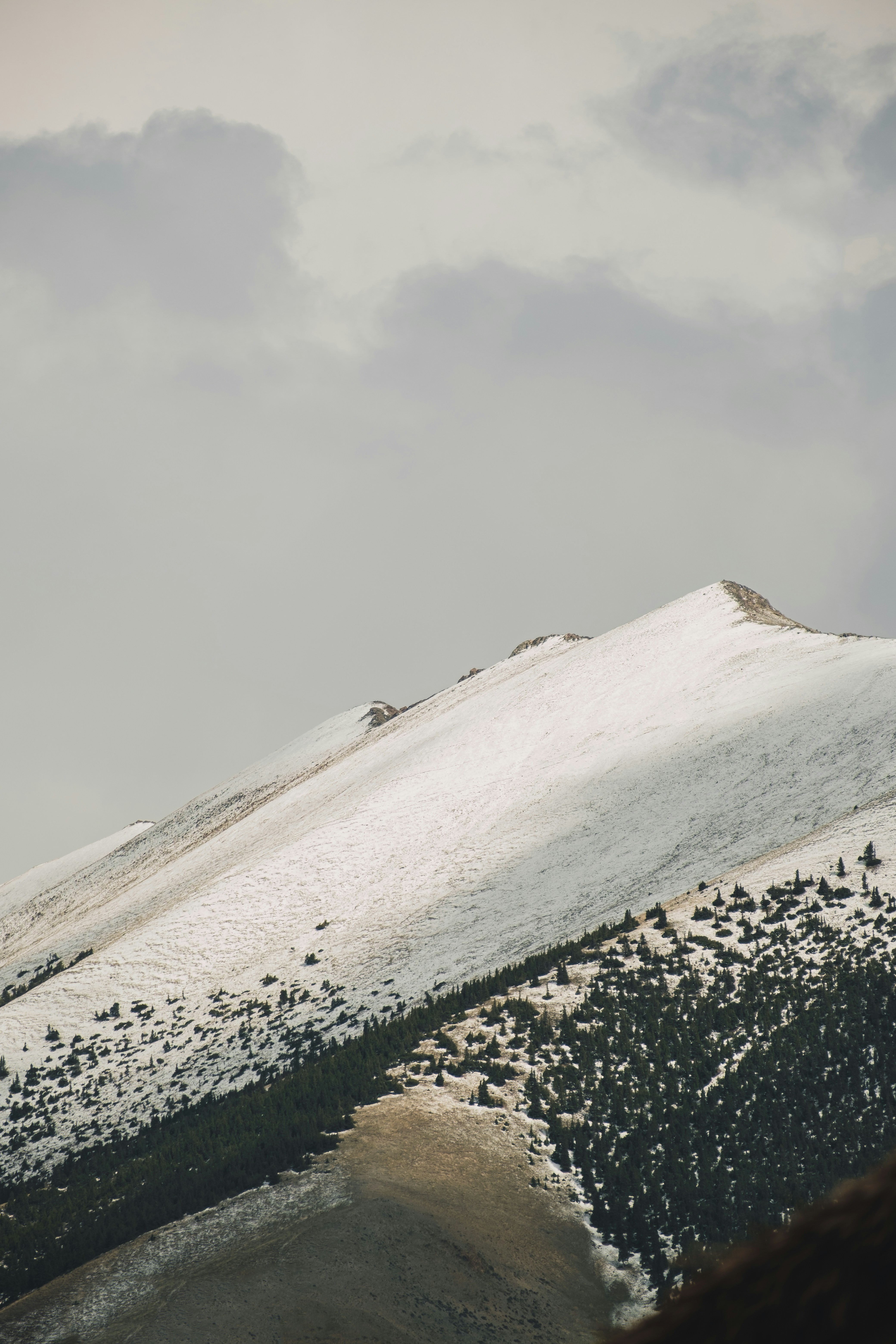 a snow covered mountain with trees on the side