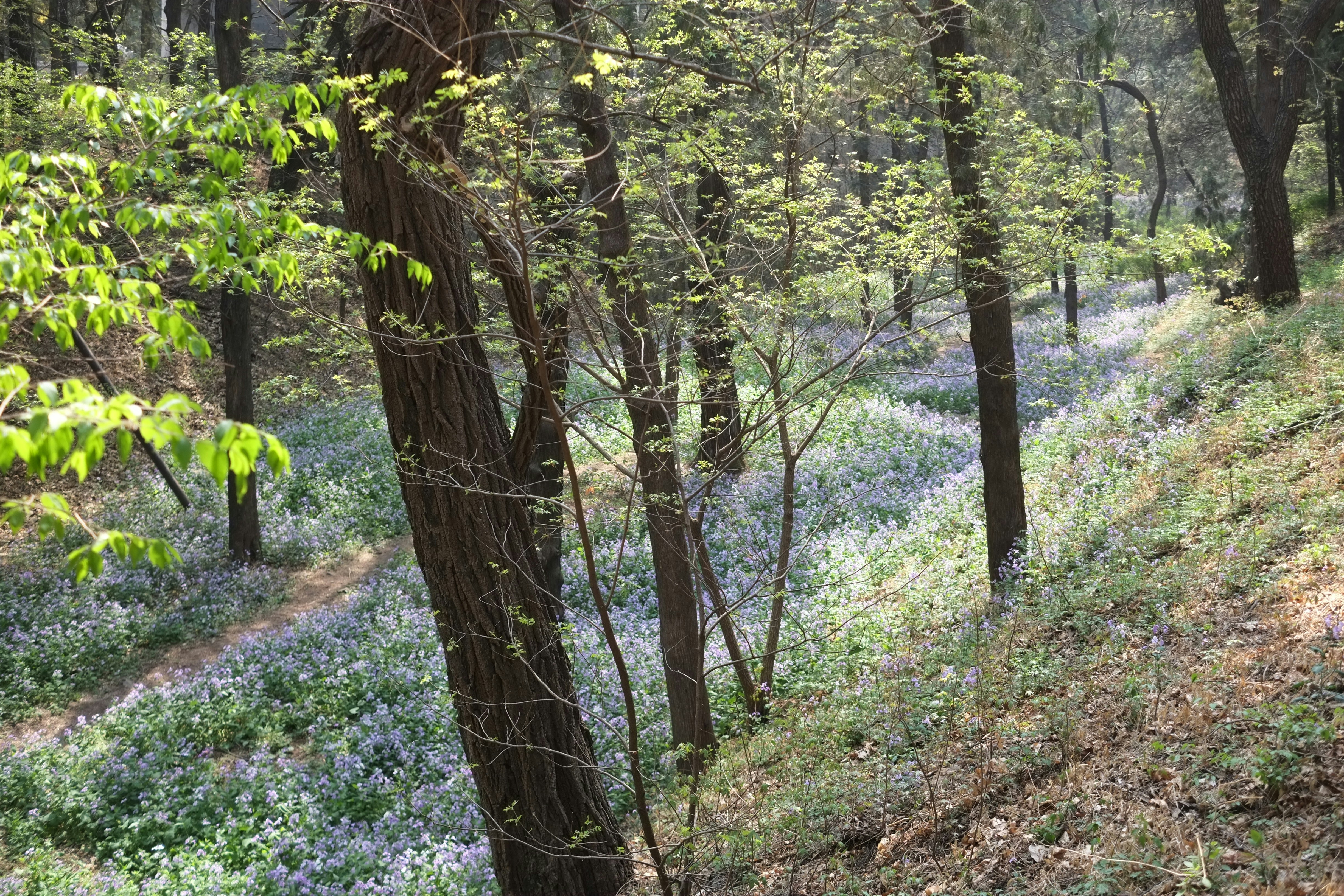 Image by MChe Lee via Unsplash