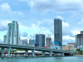 a bridge over a body of water with a city in the background