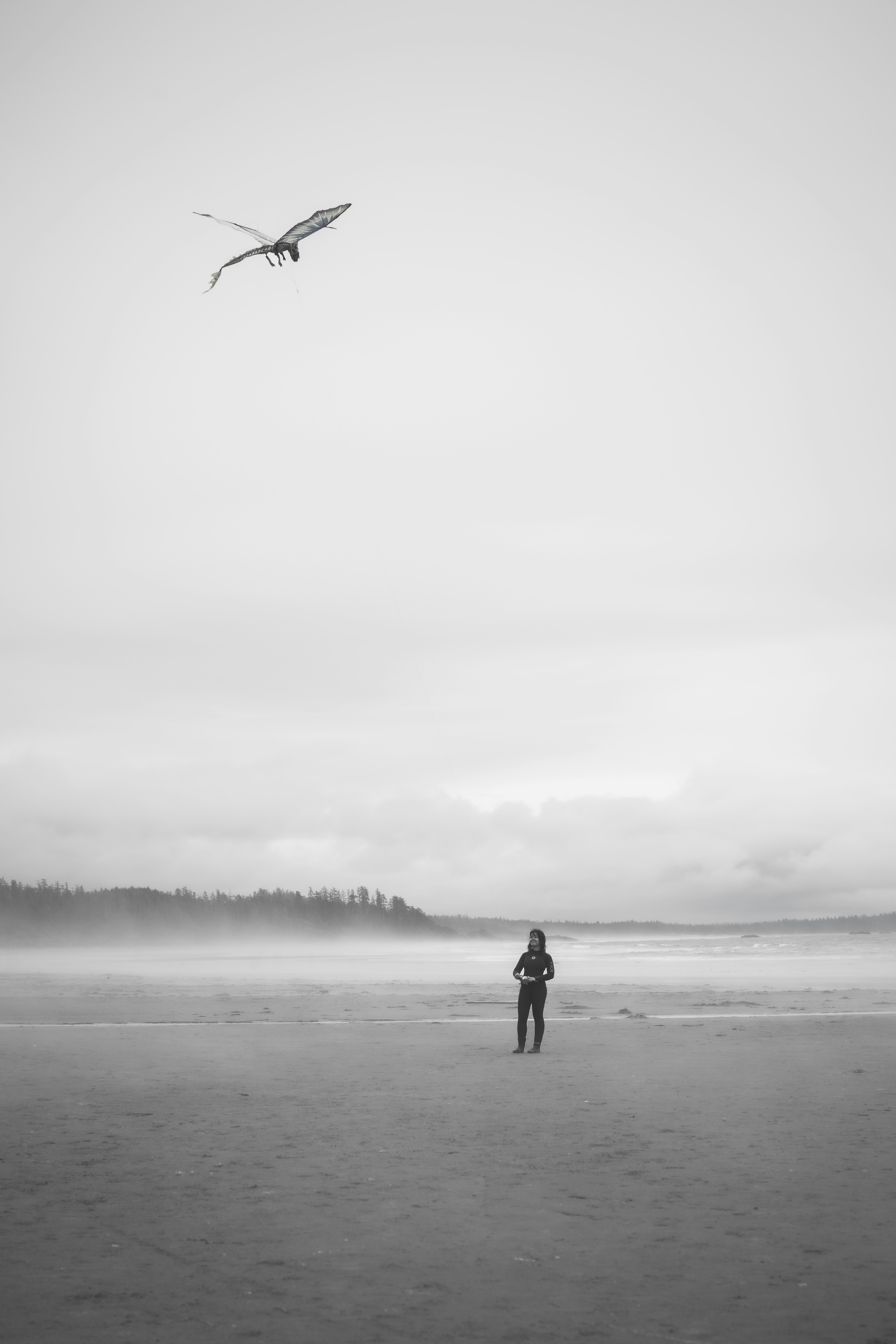 une personne debout sur une plage faisant voler un cerf-volant