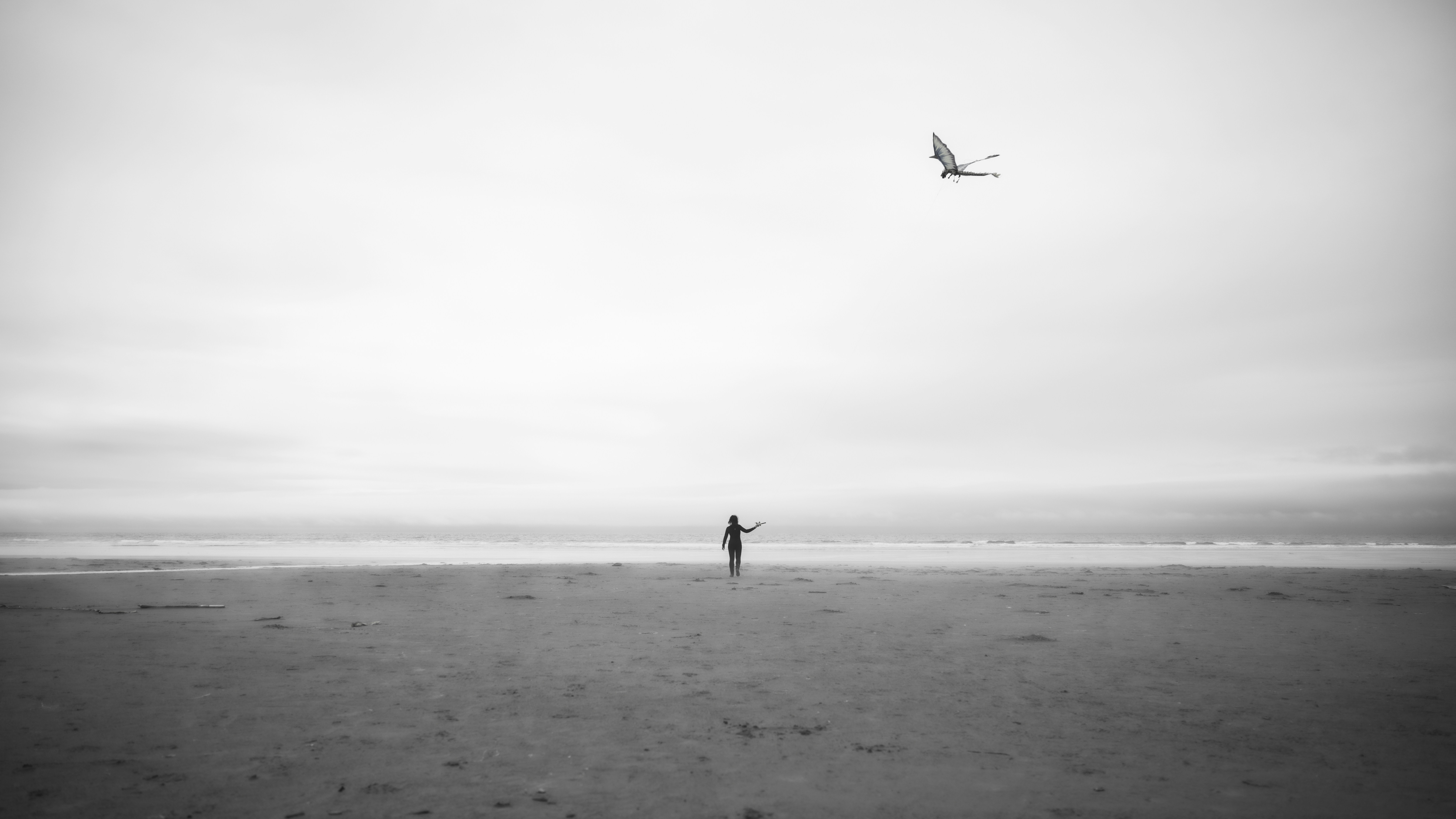 une personne debout sur une plage faisant voler un cerf-volant