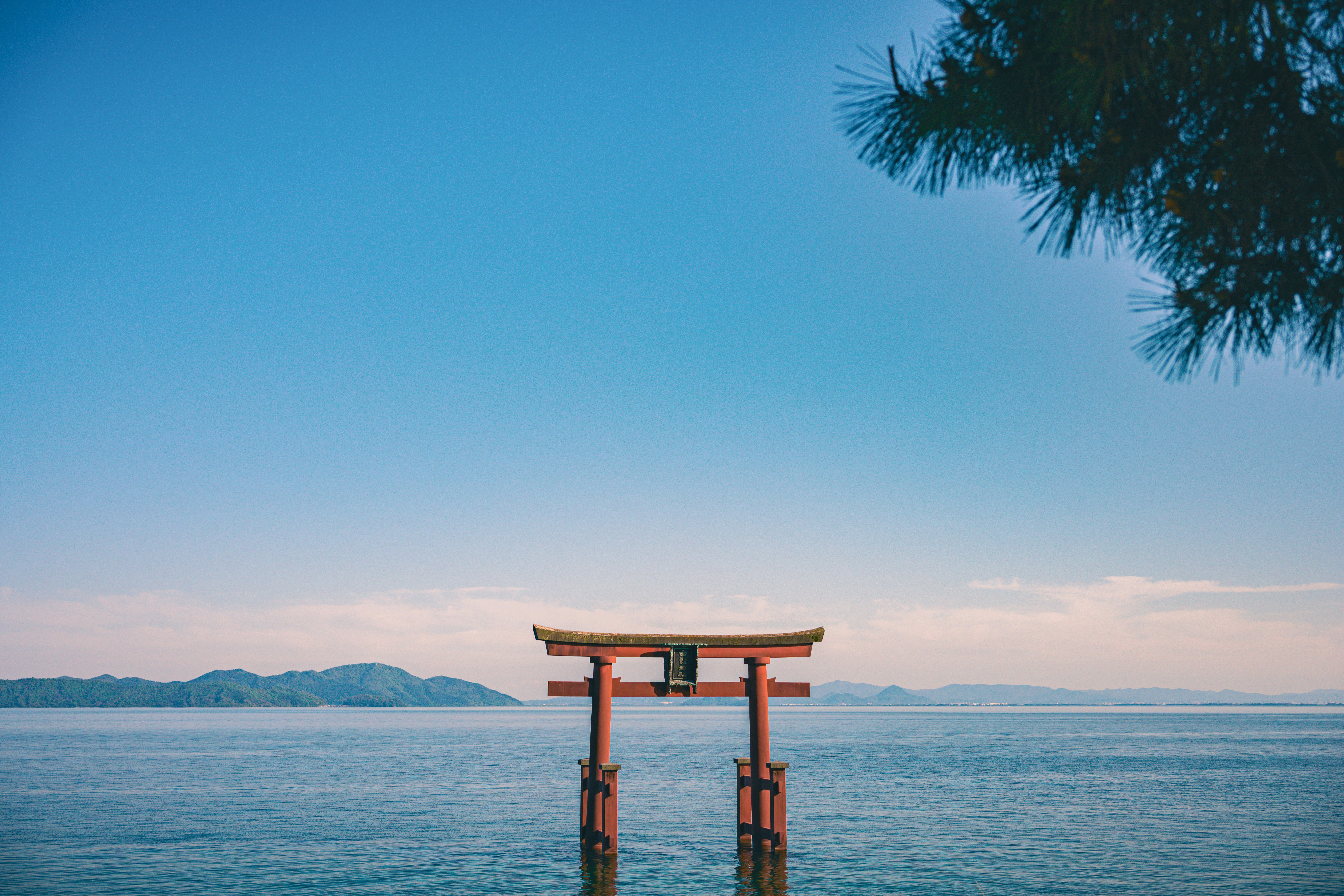 Torii gate in Japan