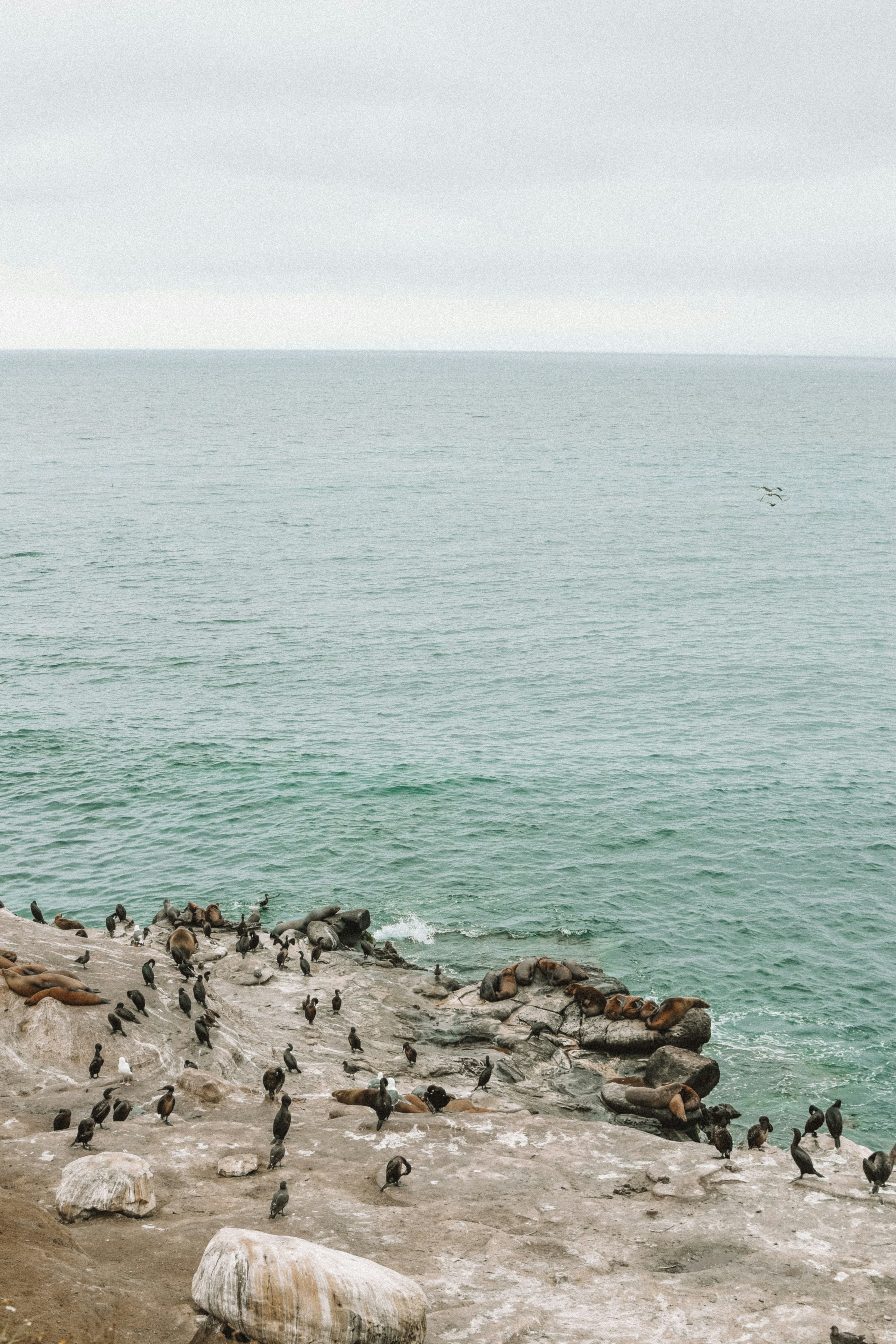 Photo by meganmajocha